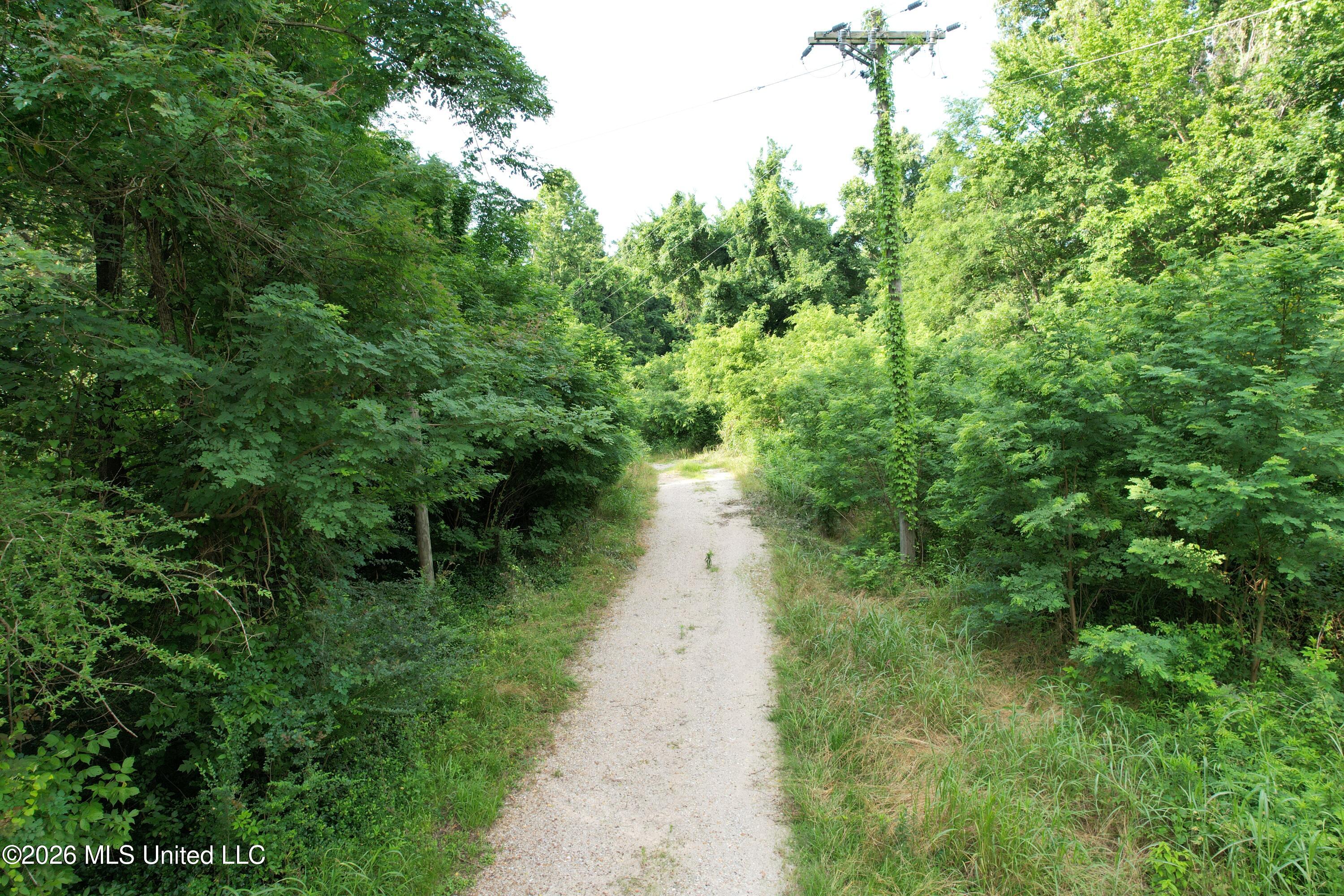 1181 Gowall Road Vicksburg, MS 39183 - Photo 12 of 43 DJI_0570