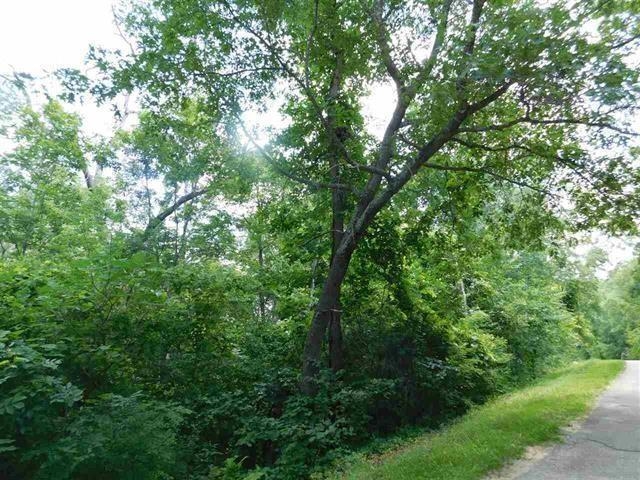 1609 South Springs Drive Spring Green, WI 53588 - Photo 2 of 10