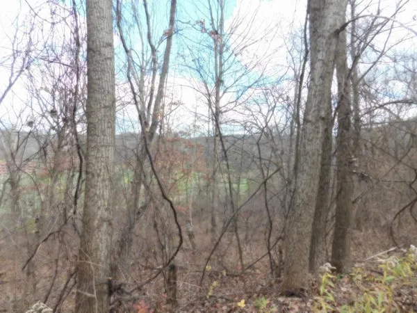 $55,000 | 1609 South Springs Drive, Spring Green, WI 53588