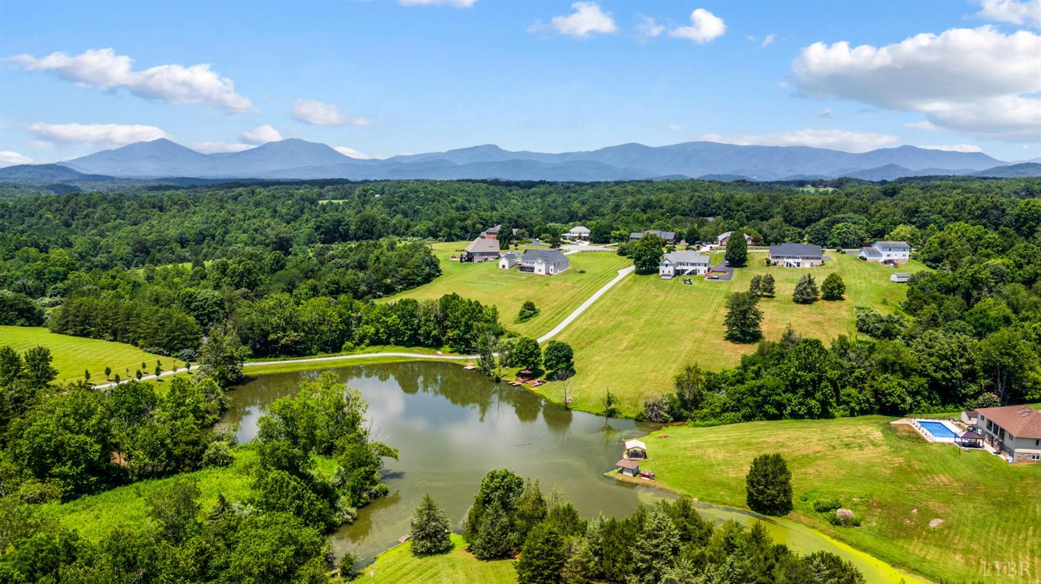 316 Longhill Road Goode, VA 24556 - Photo 11 of 93 Gallery Image 11