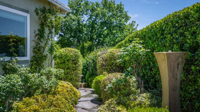 a view of a garden with plants and large trees