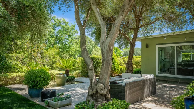 a view of a garden with plants