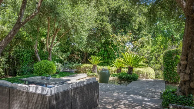 a view of a garden with plants