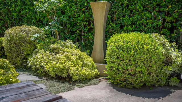 a close up of a plant in a garden