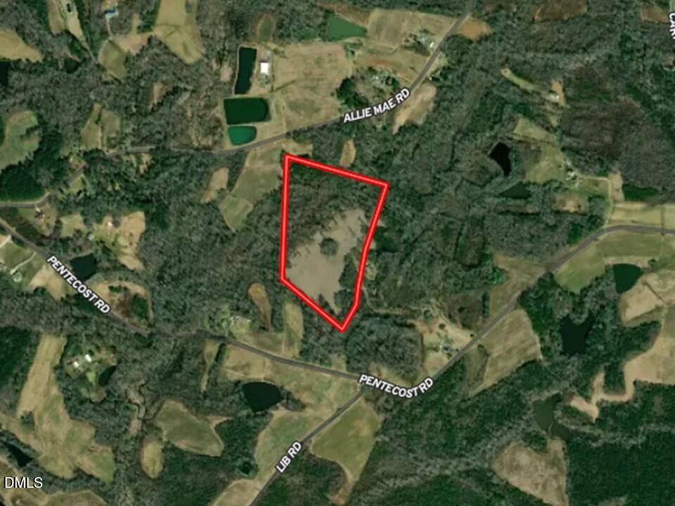 0 Pentecost Road Cedar Grove, NC 27231 - Photo 39 of 45