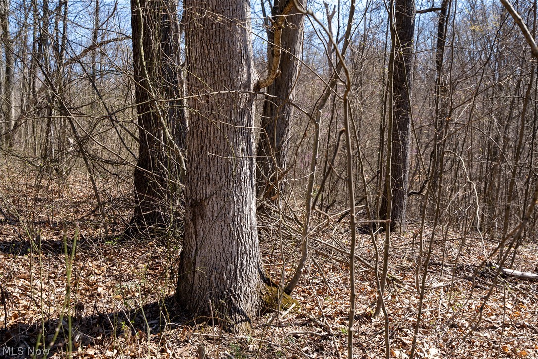 Sealover Hollow Rd Road Philo, OH 43771 - Photo 18 of 36