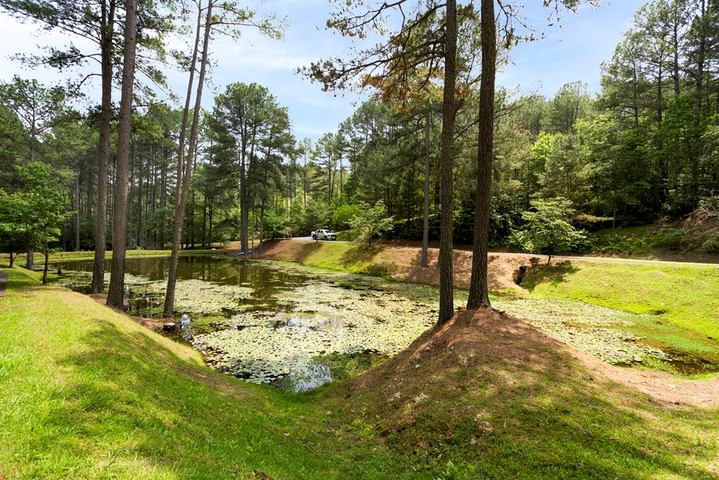 126 Hummingbird Way Copperhill, TN 37317 - Photo 46 of 47