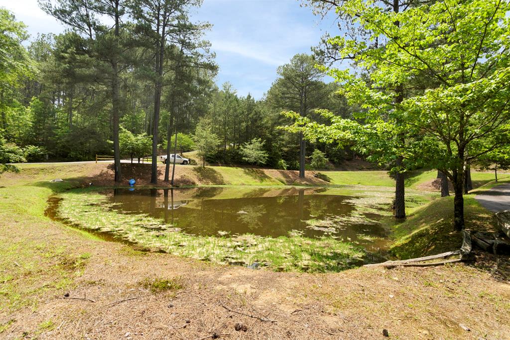 126 Hummingbird Way Copperhill, TN 37317 - Photo 47 of 47