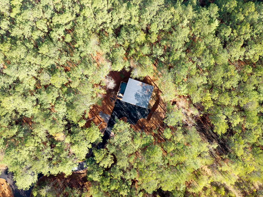 126 Hummingbird Way Copperhill, TN 37317 - Photo 8 of 47