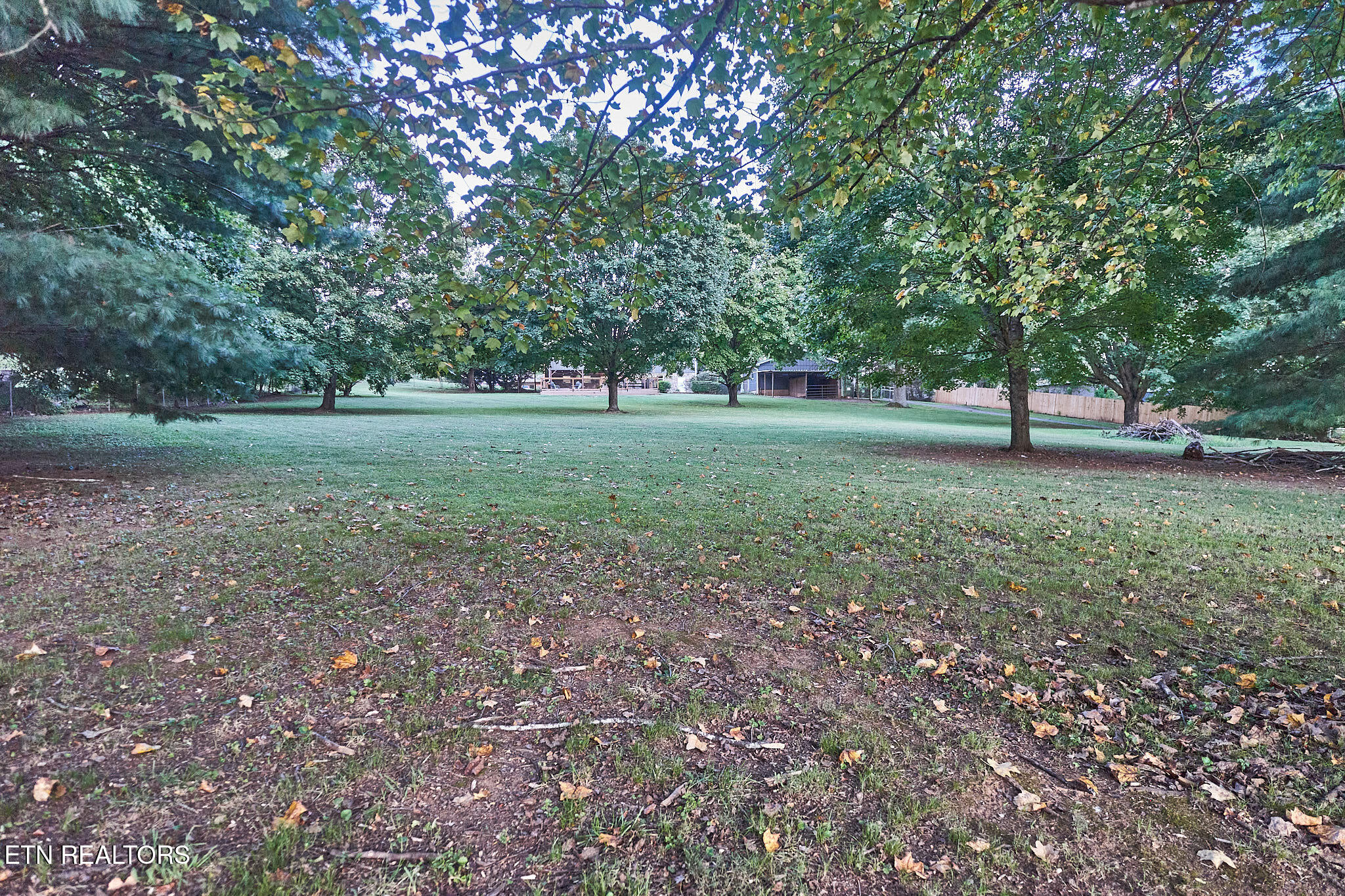 3403 Best Road Maryville, TN 37803 - Photo 29 of 50 DSC08117.1