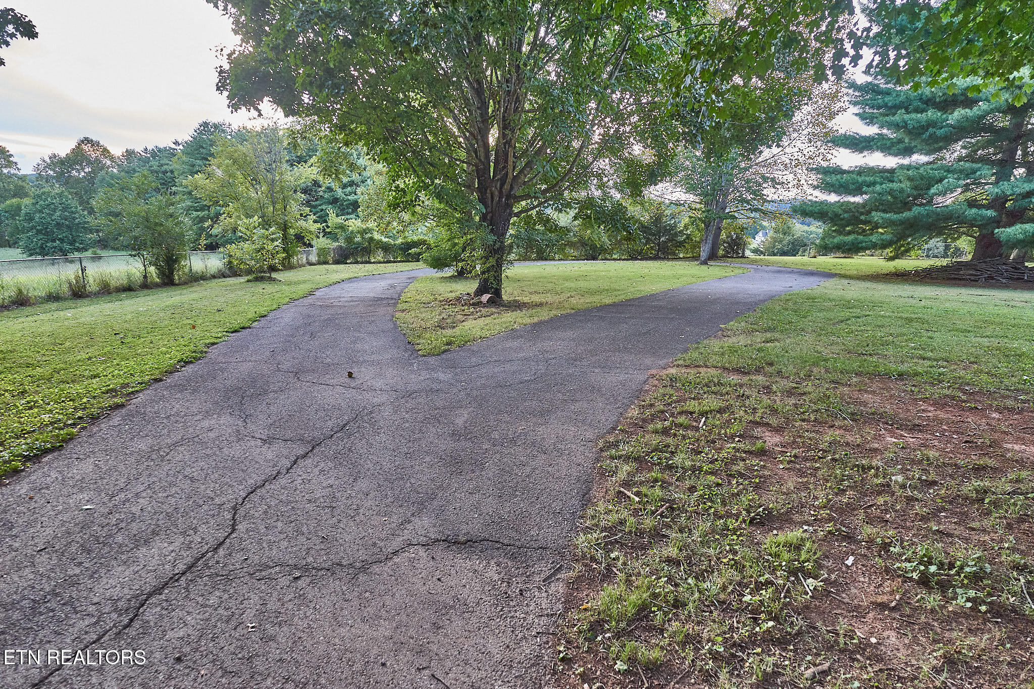 3403 Best Road Maryville, TN 37803 - Photo 30 of 50 DSC08101.1