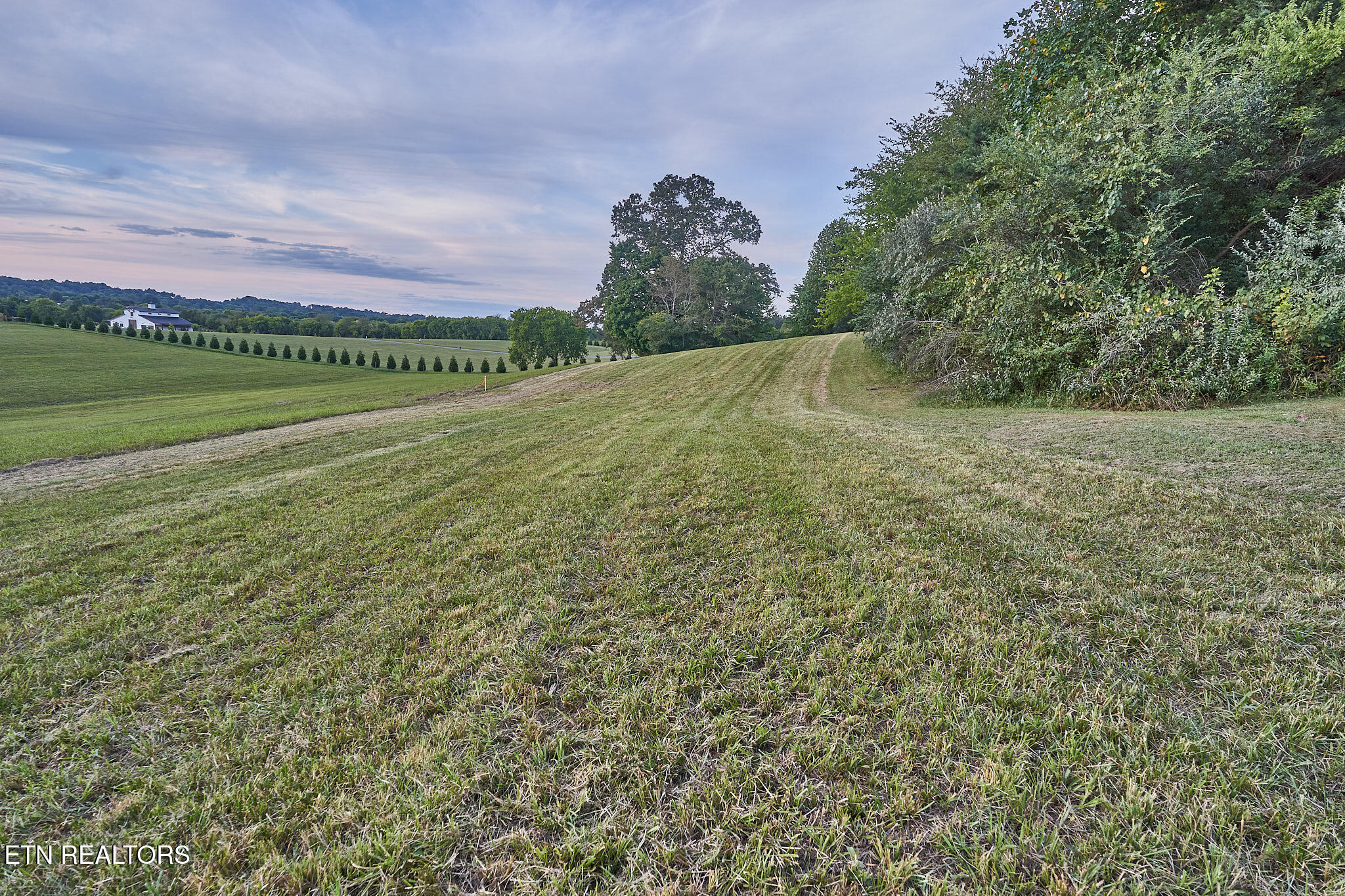 3403 Best Road Maryville, TN 37803 - Photo 45 of 50 DSC08108.1