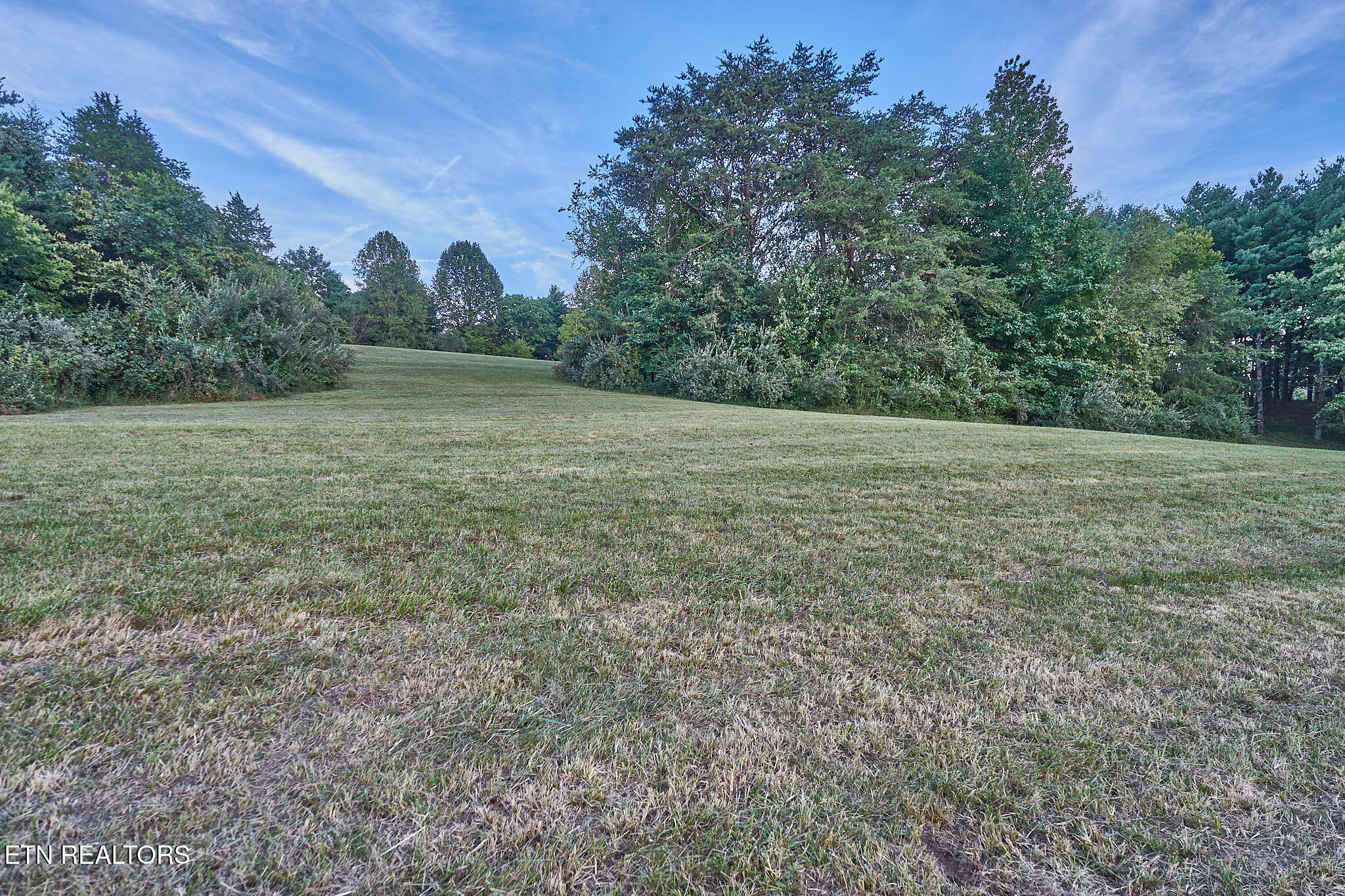 3403 Best Road Maryville, TN 37803 - Photo 46 of 50 DSC08110.1