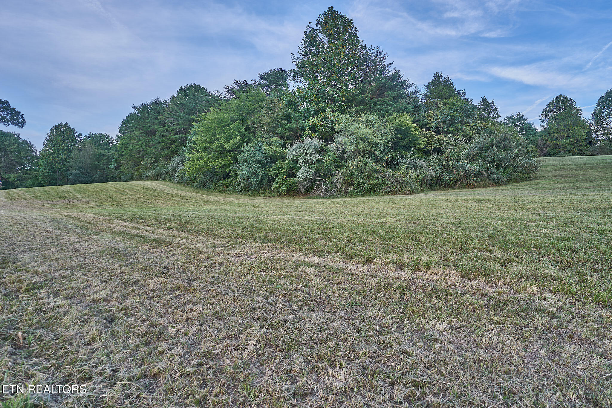 3403 Best Road Maryville, TN 37803 - Photo 47 of 50 DSC08112.1