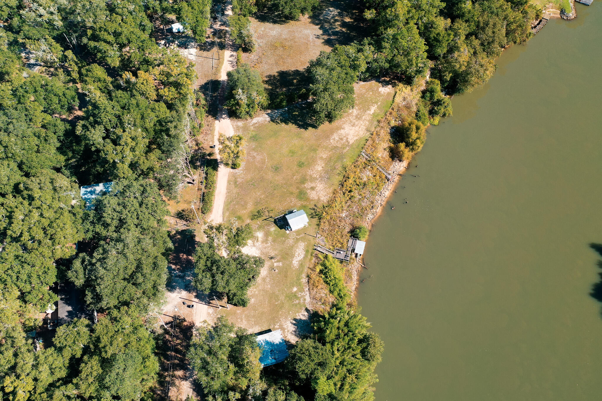 117 Reddick Loop Ponce de Leon, FL 32455 - Photo 4 of 9 a view of a flower in a garden