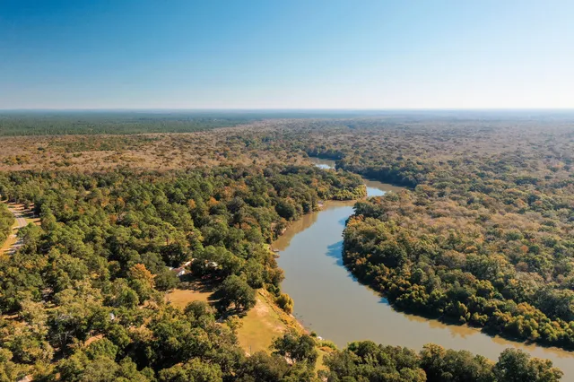 a view of a yard with plants