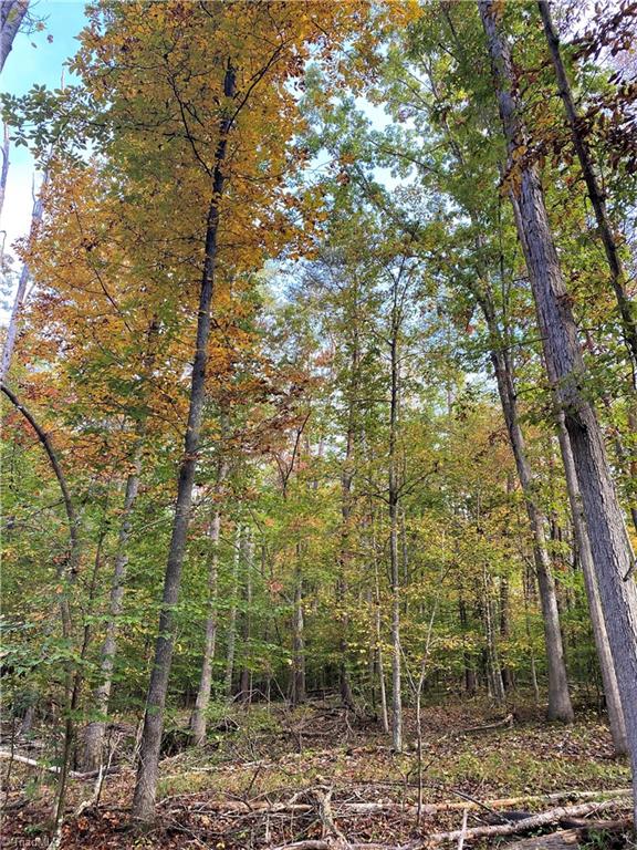 22.28-ac Cardinal Road Madison, NC 27025 - Photo 14 of 33