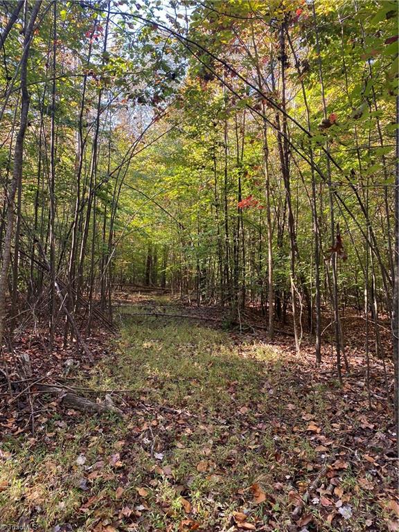 22.28-ac Cardinal Road Madison, NC 27025 - Photo 3 of 33