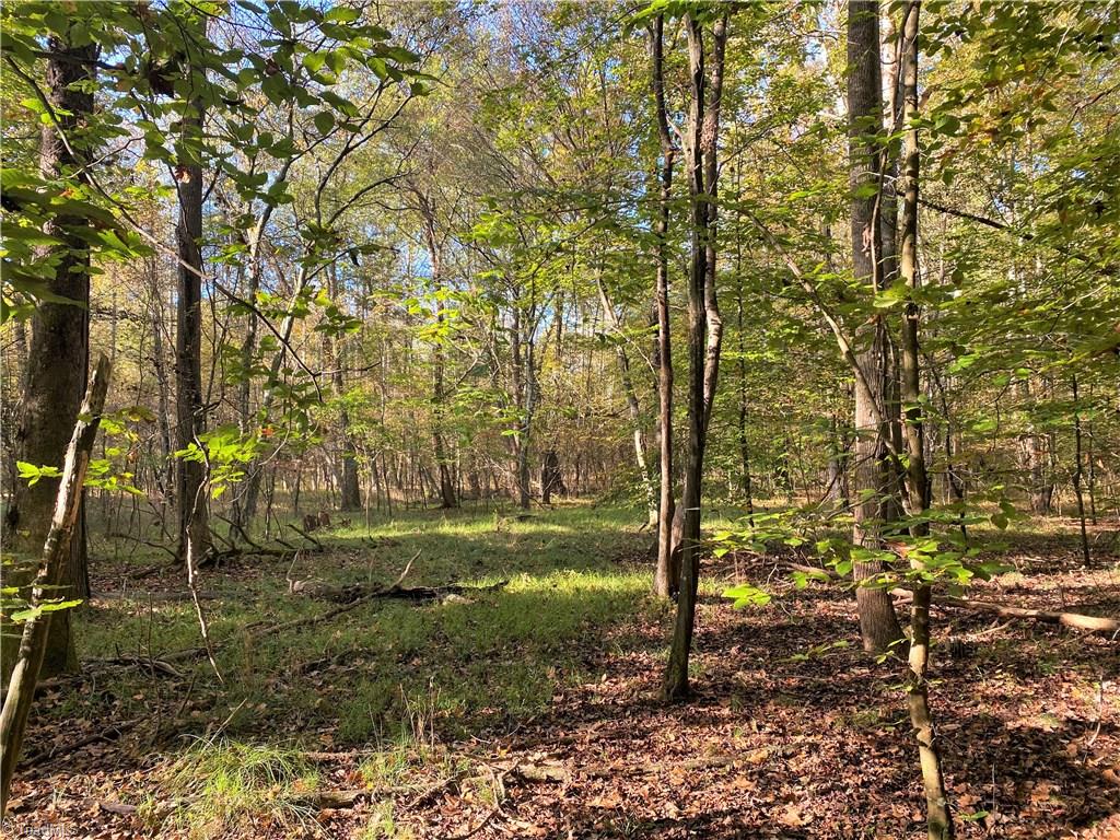 22.28-ac Cardinal Road Madison, NC 27025 - Photo 22 of 33