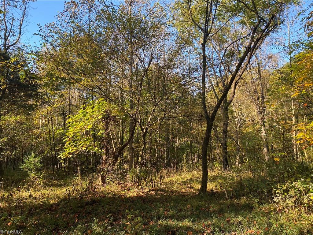 22.28-ac Cardinal Road Madison, NC 27025 - Photo 4 of 33