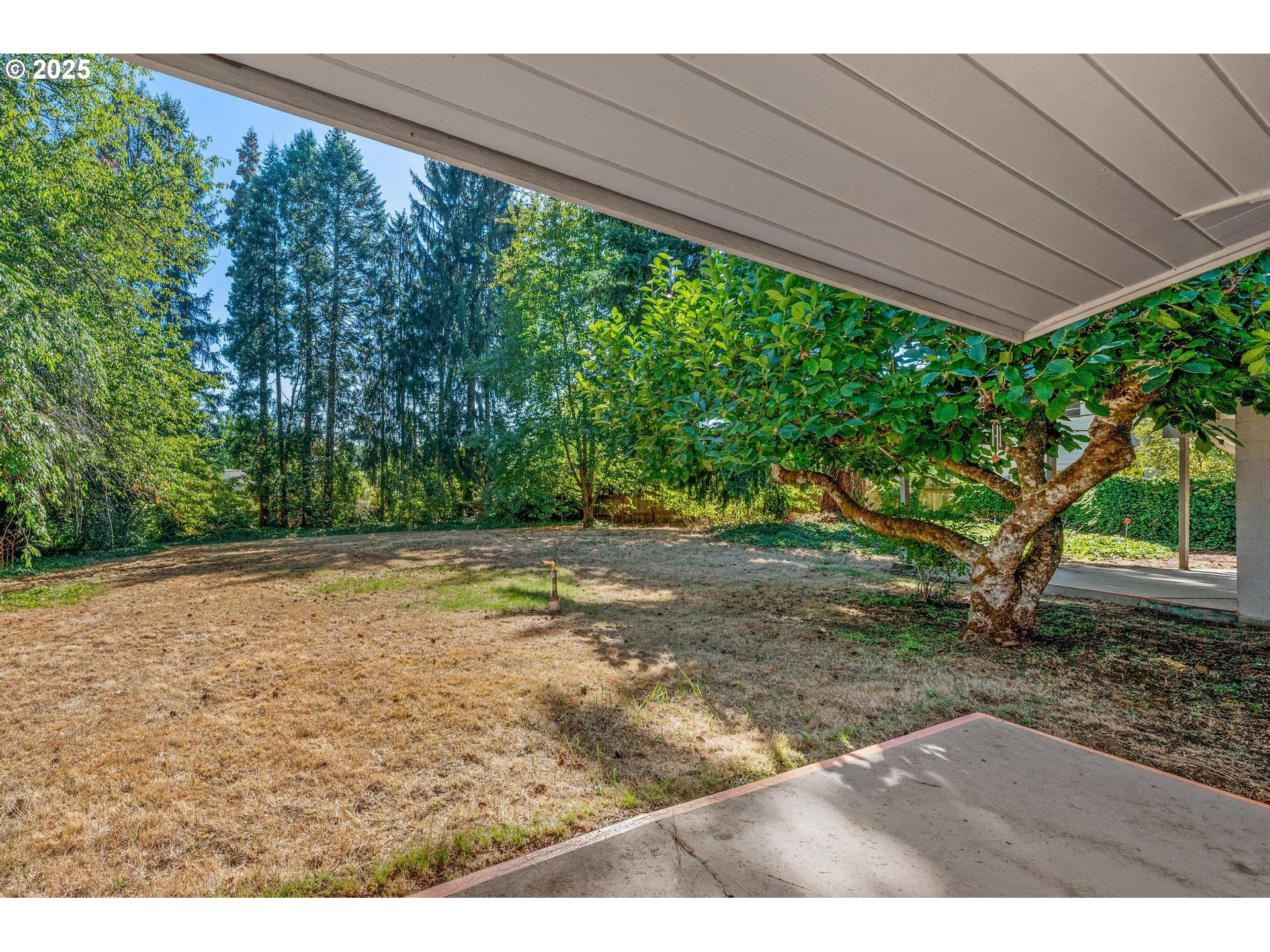 11990 Southwest Denney Road Beaverton, OR 97008 - Photo 25 of 30 a backyard of a house with large trees
