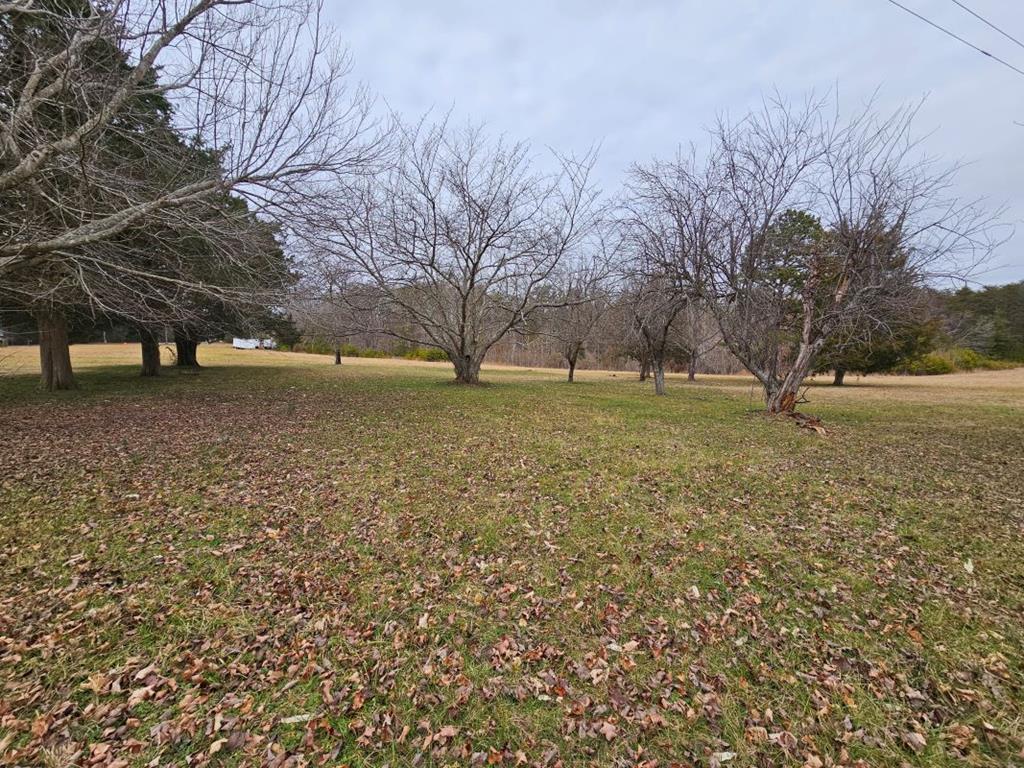 4643 Abilene Road Farmville, VA 23901 - Photo 17 of 74 Gallery Image 17