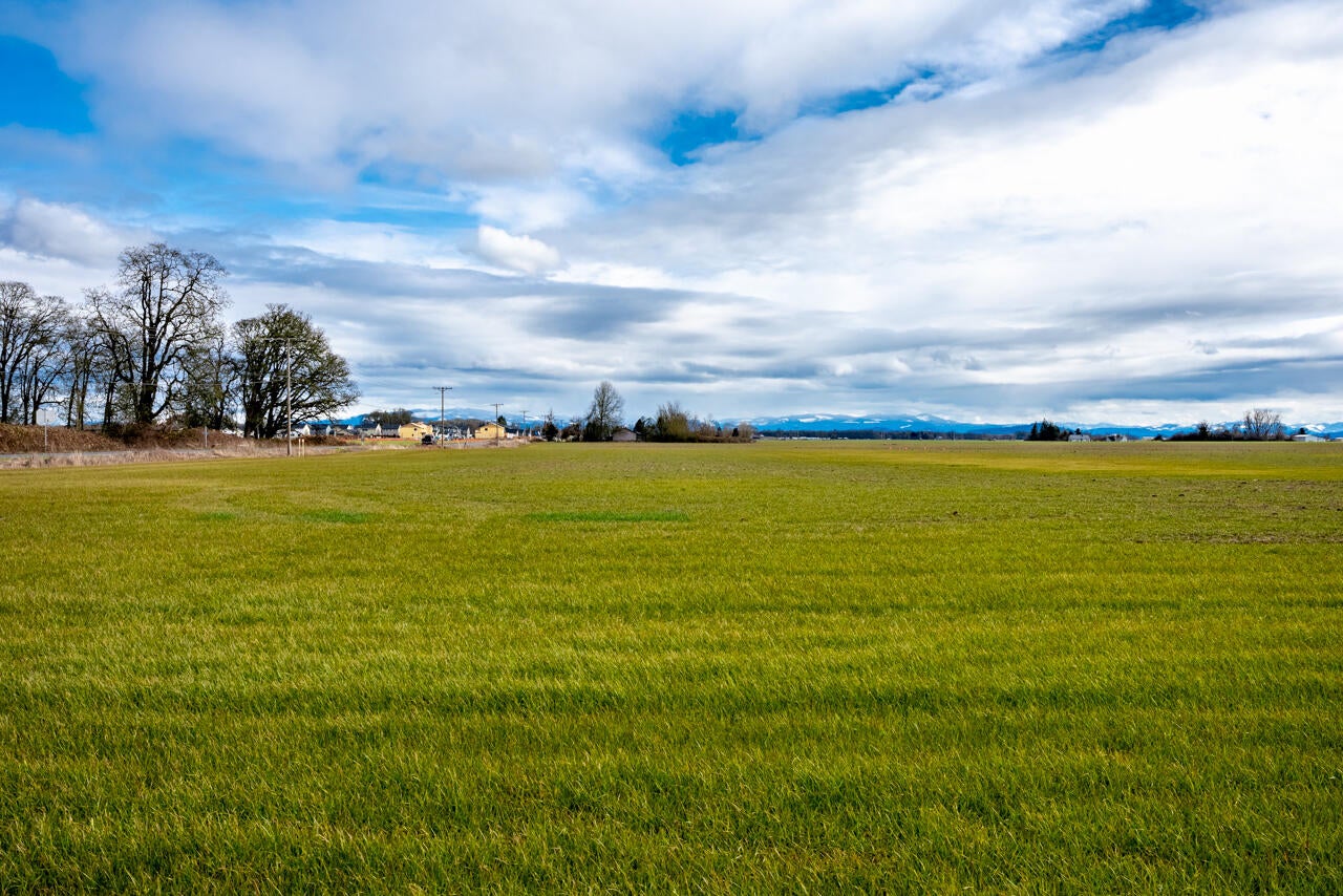 0 Ellingson Road Southeast Albany, OR 97389 - Photo 15 of 18 0 Ellingson Rd MLS 10