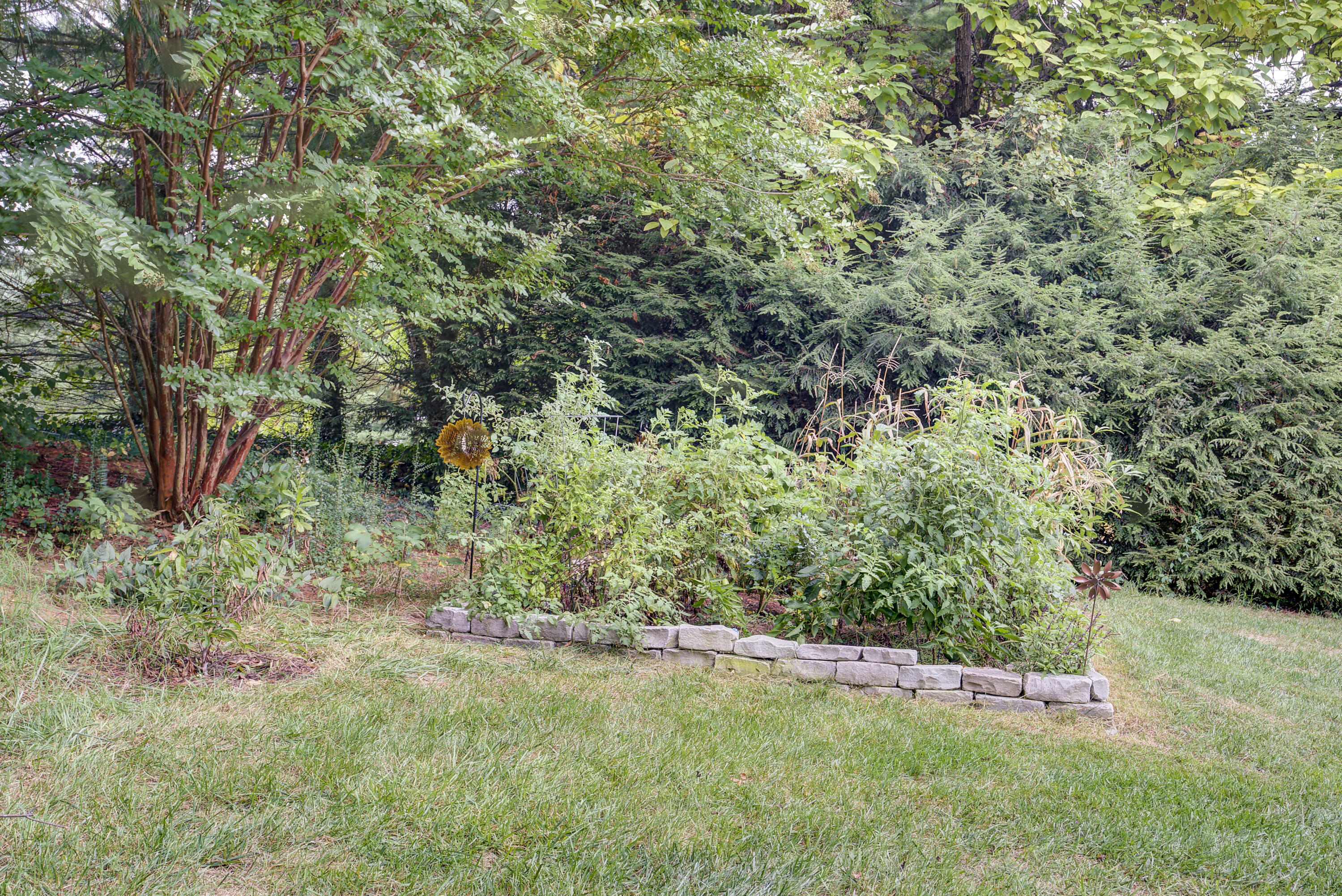 618 Hollyhill Road Johnson City, TN 37604 - Photo 33 of 35 834055CC-88D2-4BC6-BD46-F609AC07DFFD