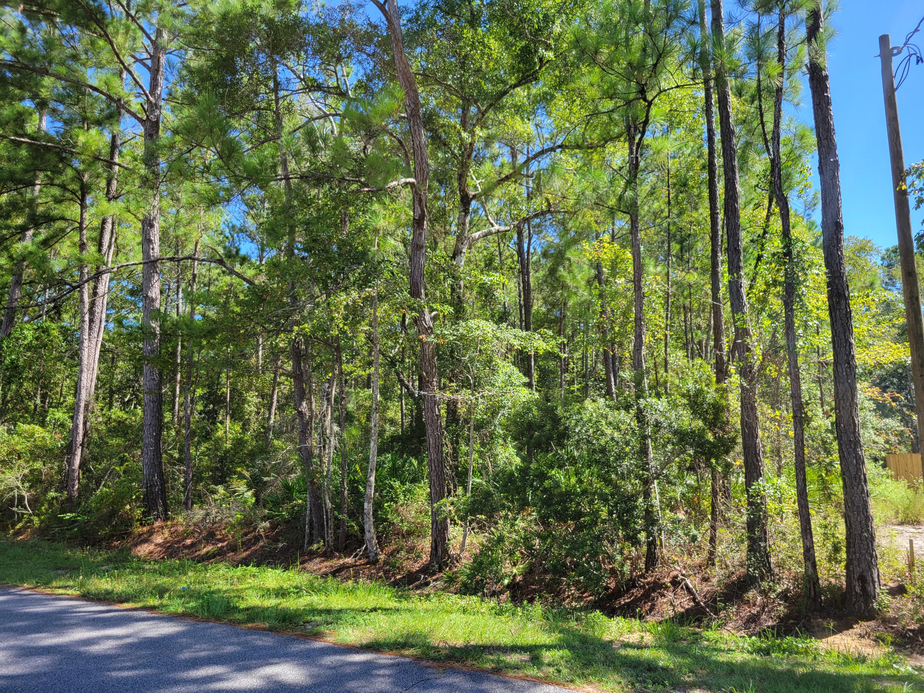 .57-acres Bay Grove Road Freeport, FL 32439 - Photo 1 of 10