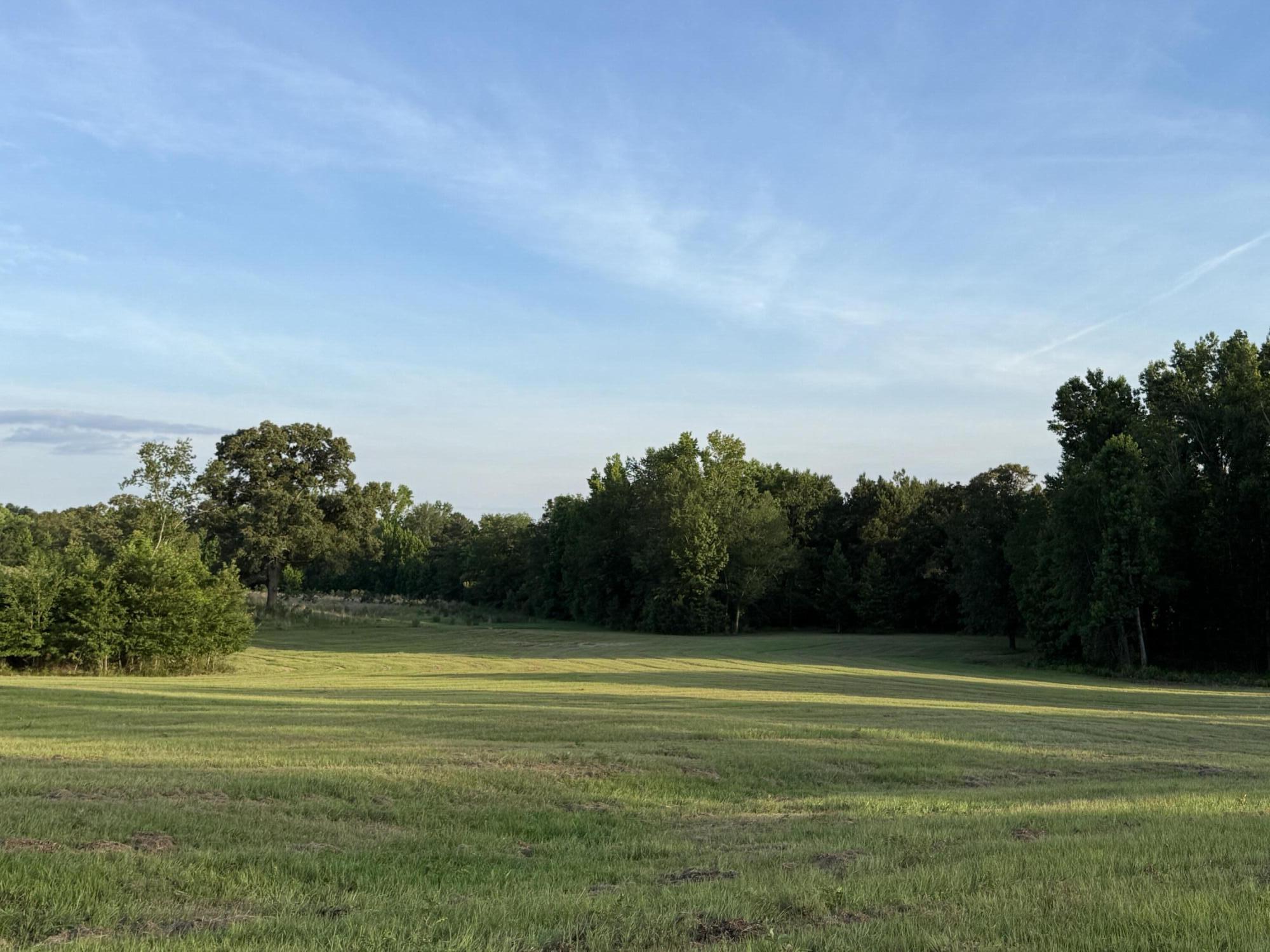 Lot 12 Reeves Street Aiken, SC 29805 - Photo 1 of 22
