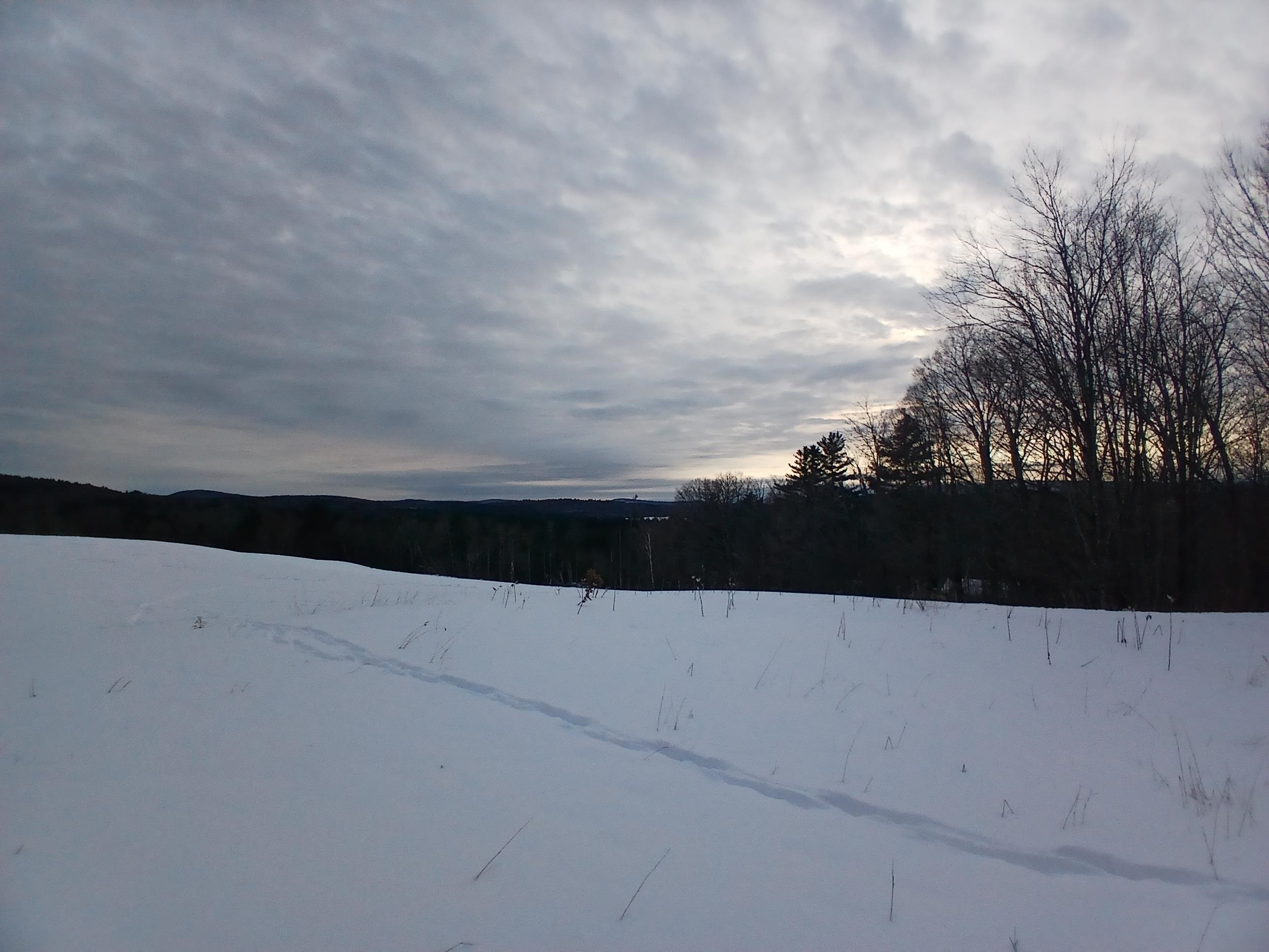 301 Hardy Hill Road Grafton, NH 03240 - Photo 4 of 15