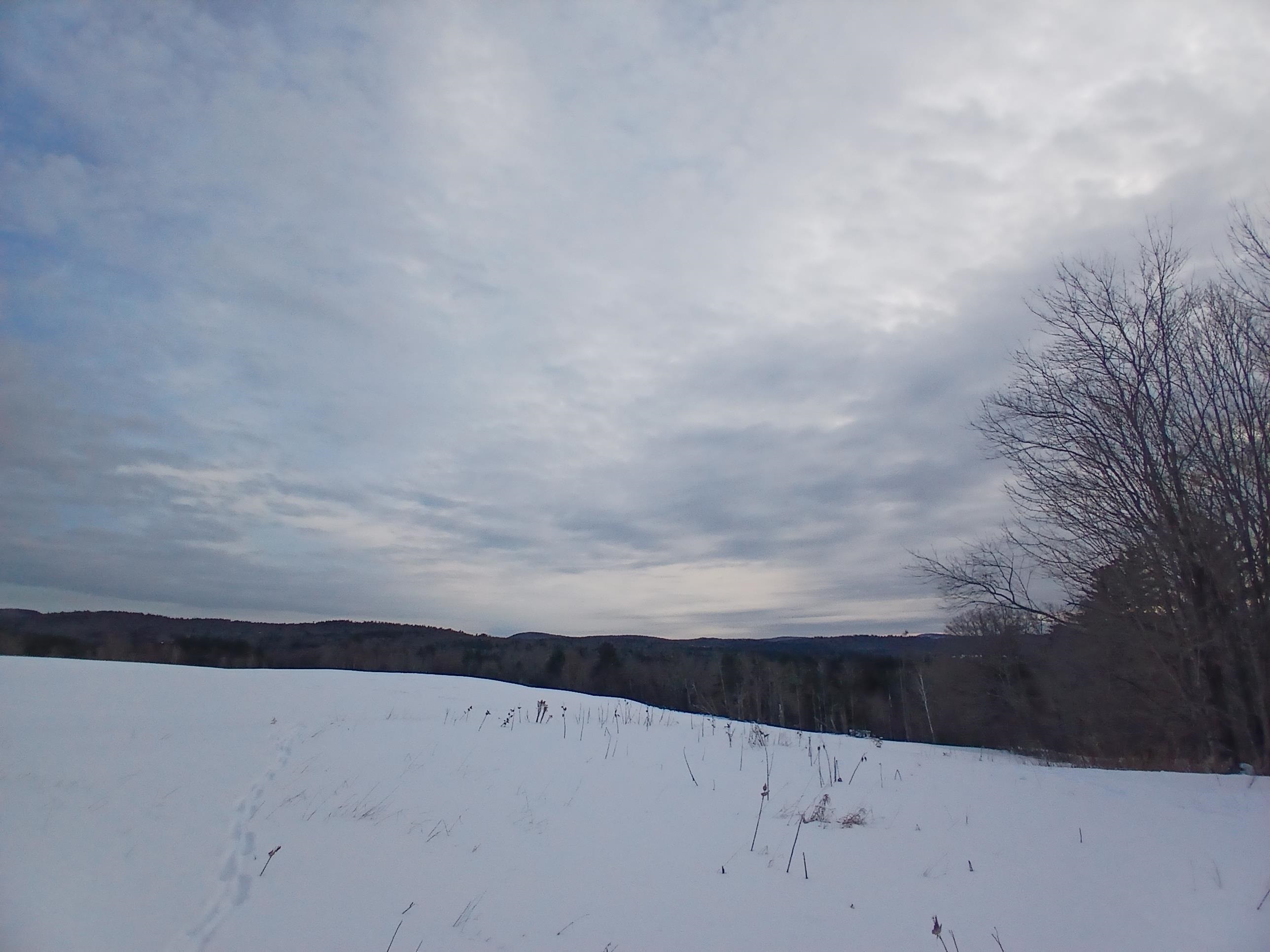 301 Hardy Hill Road Grafton, NH 03240 - Photo 6 of 15