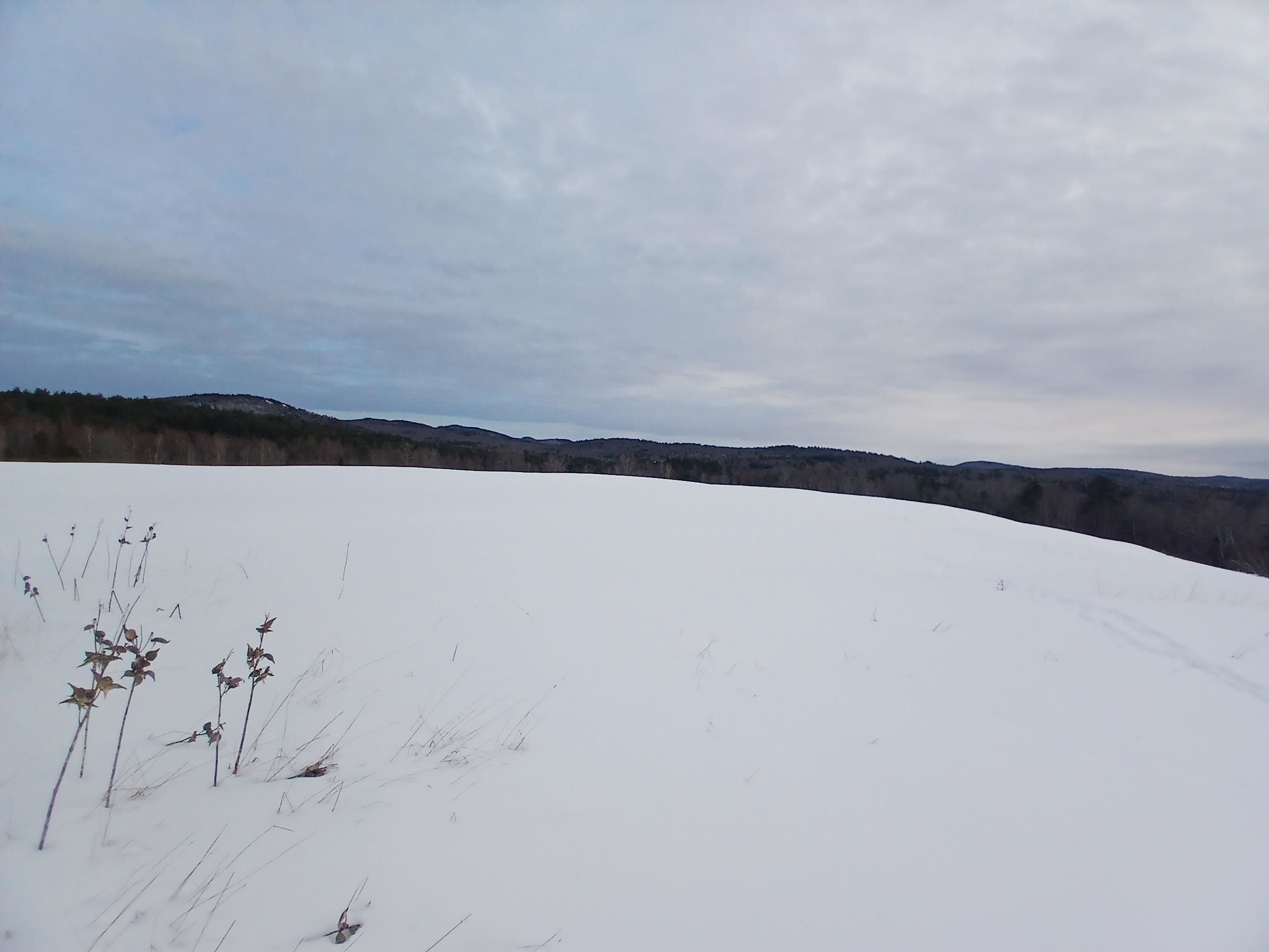 301 Hardy Hill Road Grafton, NH 03240 - Photo 7 of 15