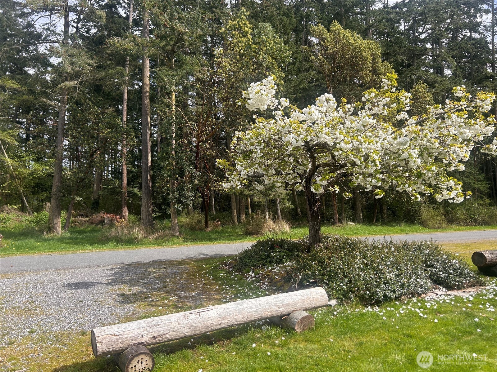 54 Hunt Road, Unit 12A Orcas Island, WA 98245 - Photo 23 of 29