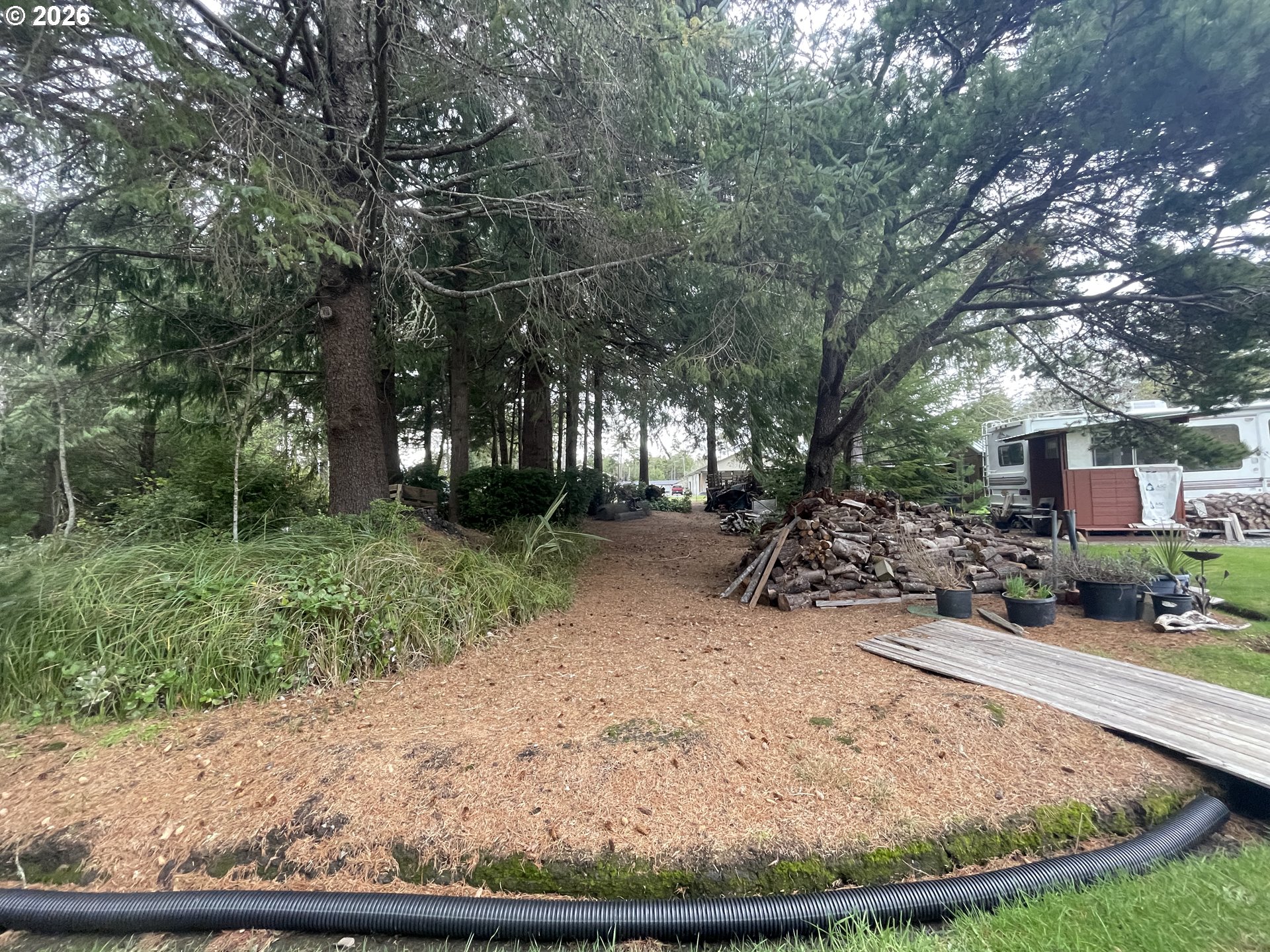 Cozy Pines Bandon, OR 97411 - Photo 7 of 13 a view of outdoor space and yard