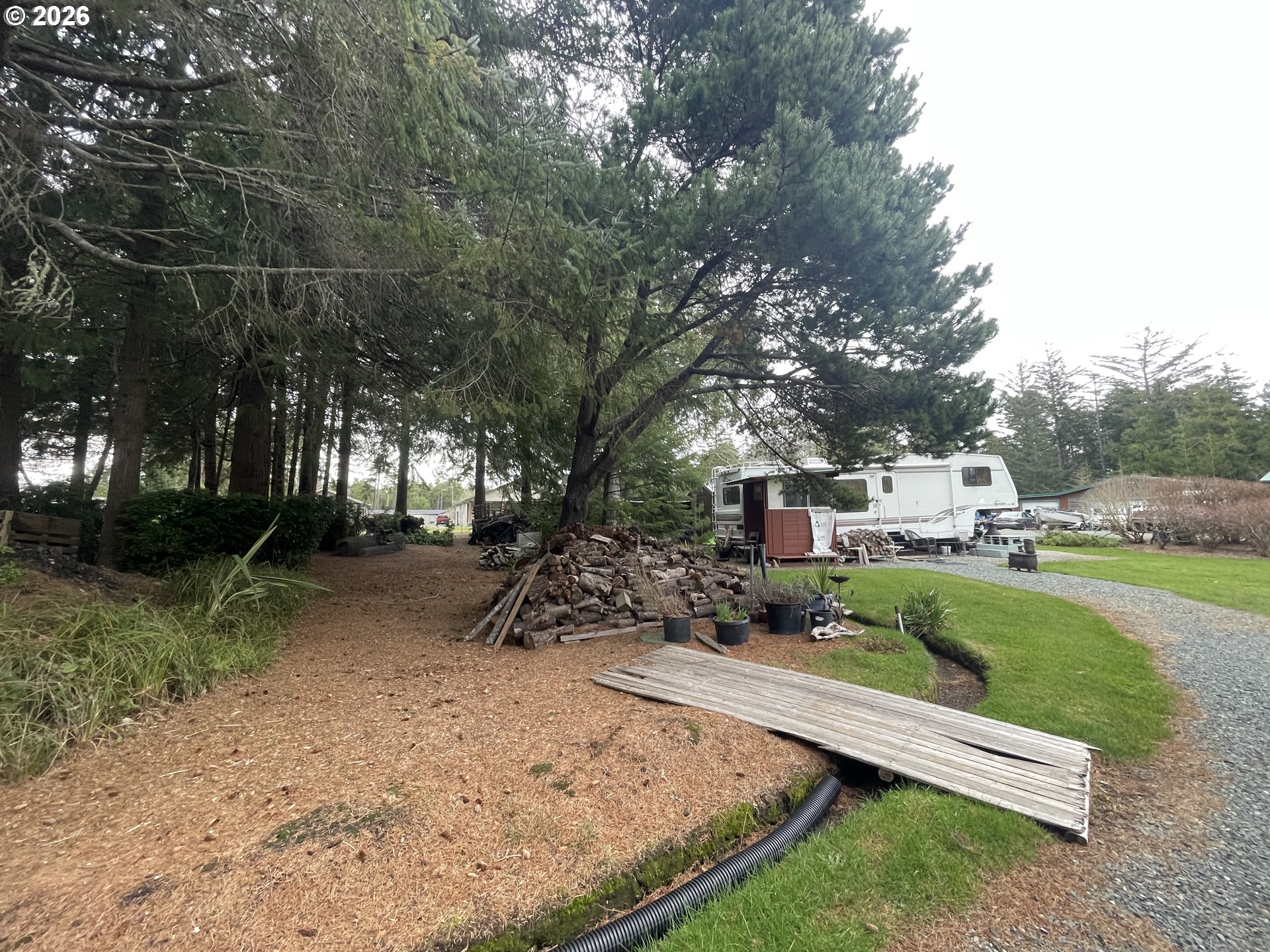 Cozy Pines Bandon, OR 97411 - Photo 8 of 13 a view of backyard with green space