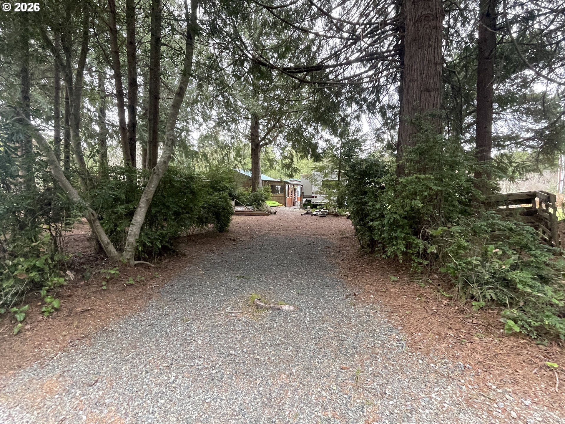 Cozy Pines Bandon, OR 97411 - Photo 10 of 13 a view of a forest with trees