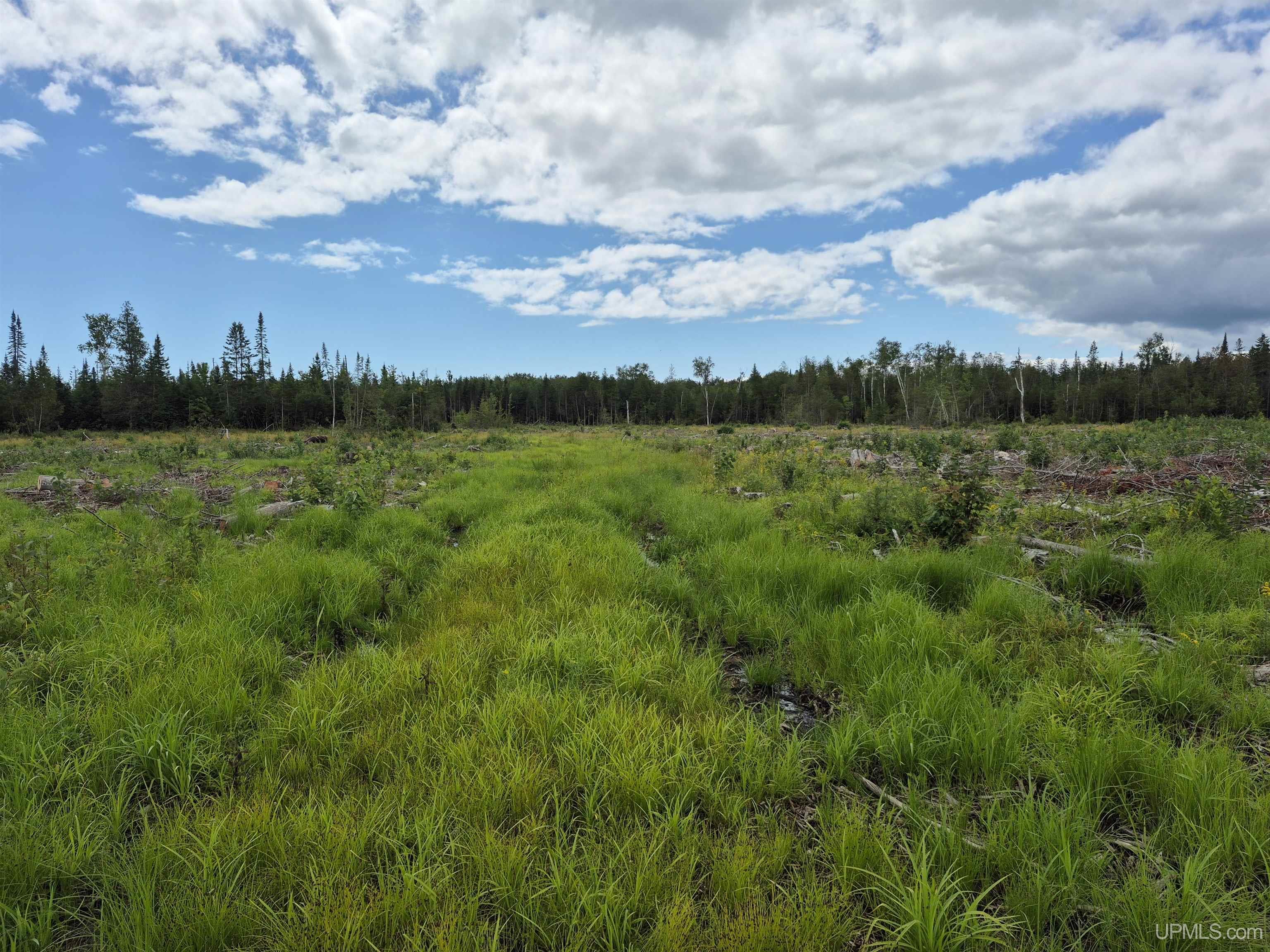 160-acres Halverson Road Gulliver, MI 49840 - Photo 10 of 35