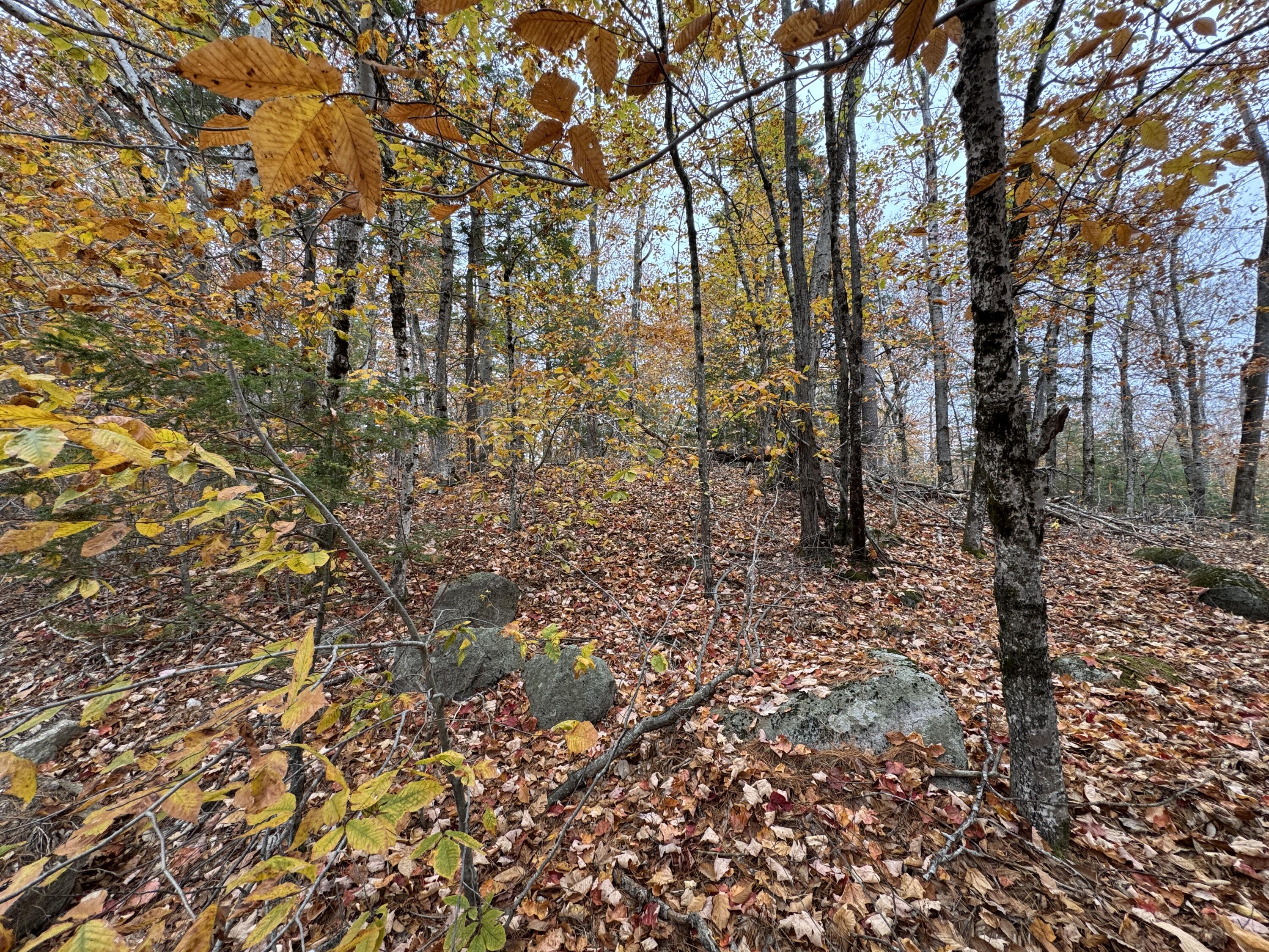 0 Cape Road Raymond, ME 04071 - Photo 2 of 4 IMG_7041