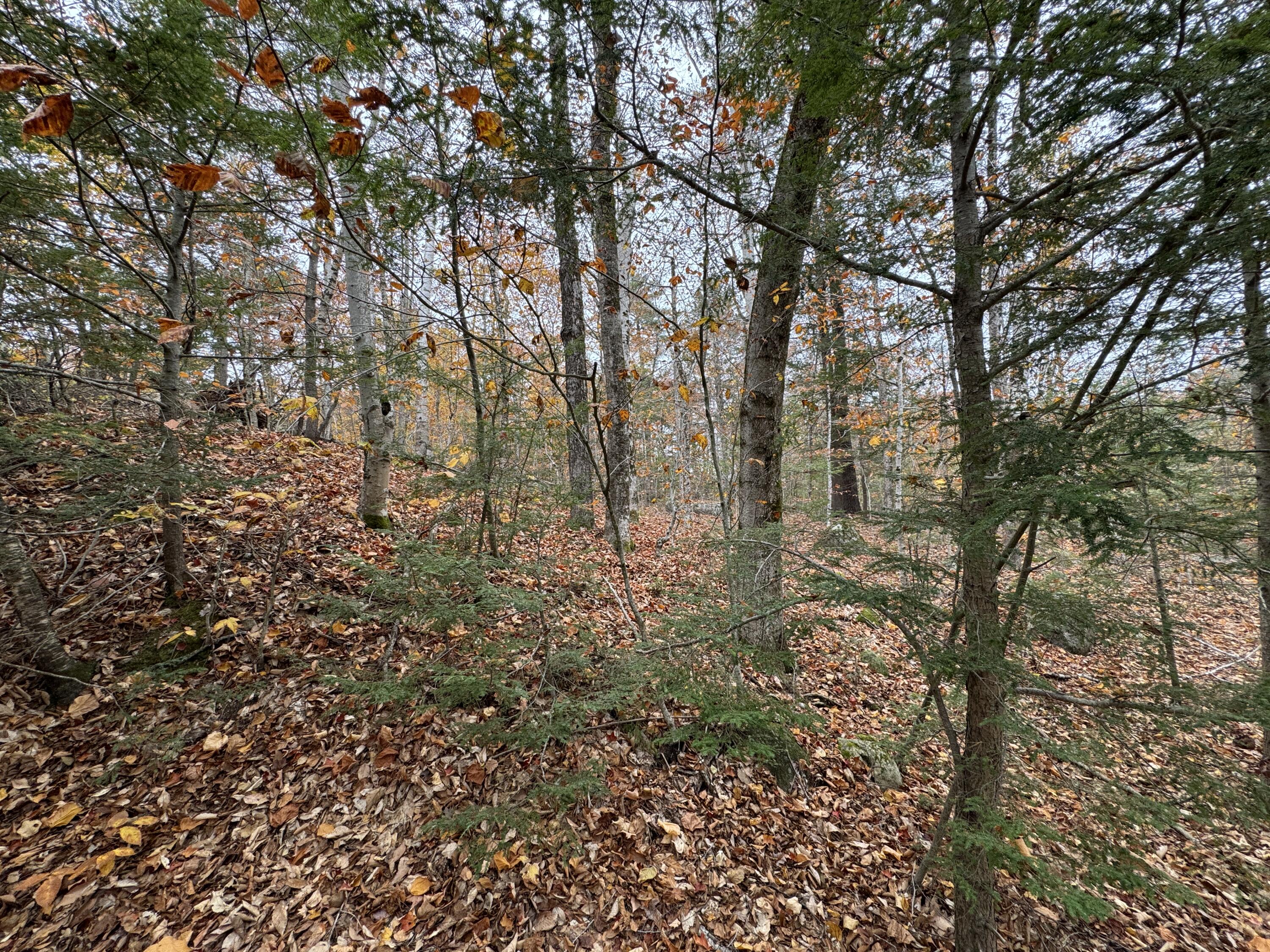 0 Cape Road Raymond, ME 04071 - Photo 3 of 4 IMG_7042