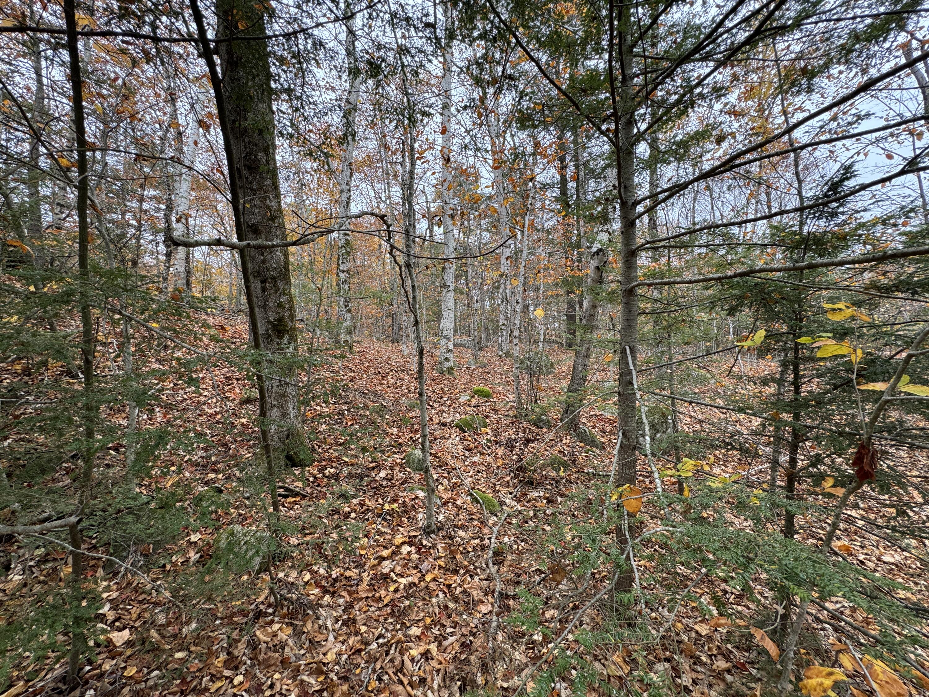 0 Cape Road Raymond, ME 04071 - Photo 4 of 4 IMG_7043