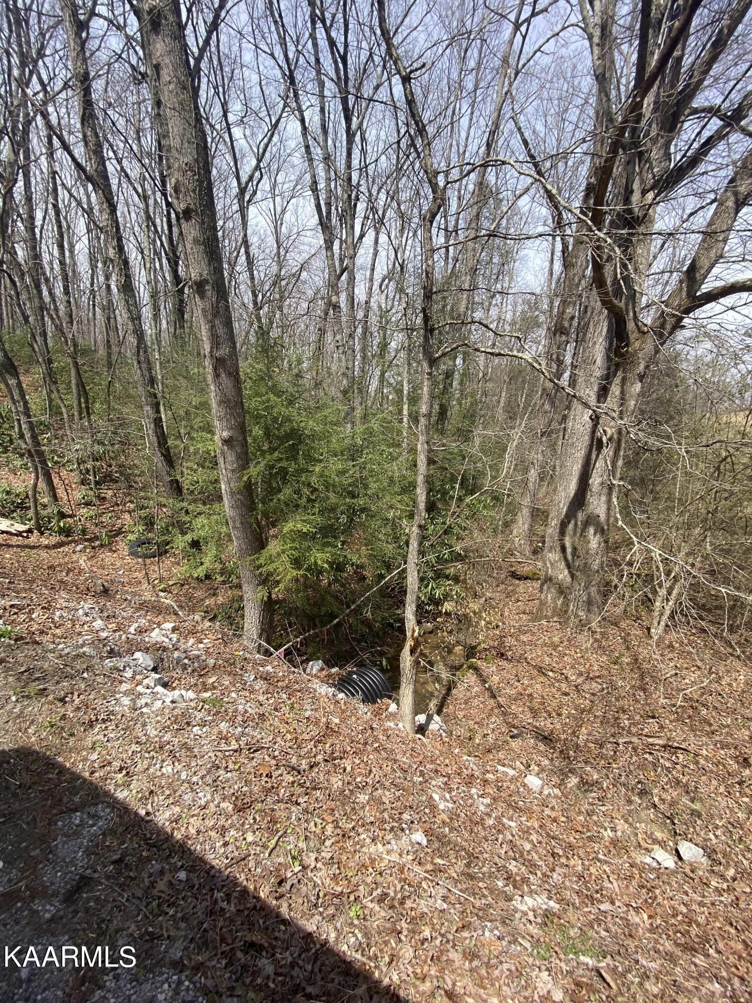 0 Bea Lee Road Jamestown, TN 38556 - Photo 1 of 7