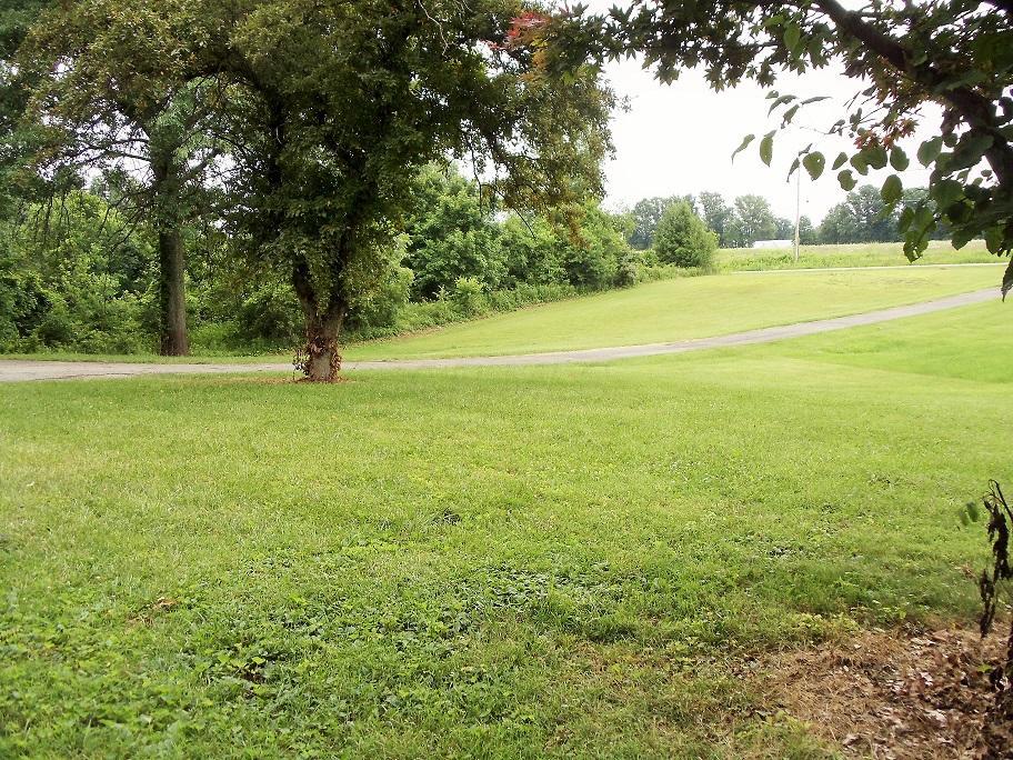 7401 Harlem Road Westerville, OH 43081 - Photo 5 of 40