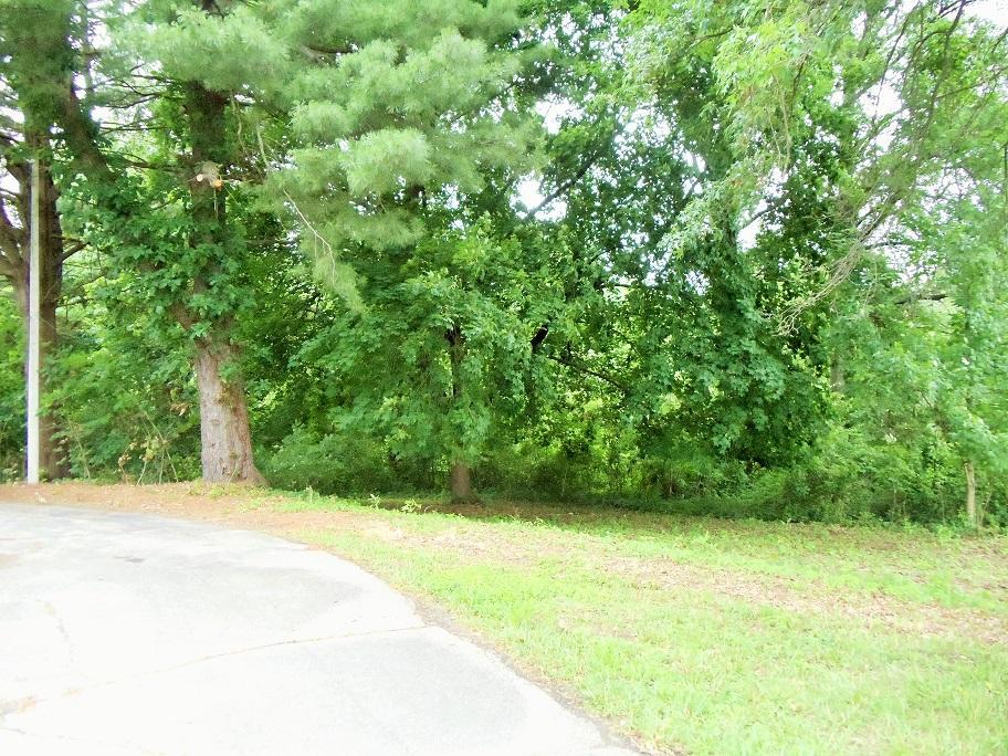7401 Harlem Road Westerville, OH 43081 - Photo 8 of 40