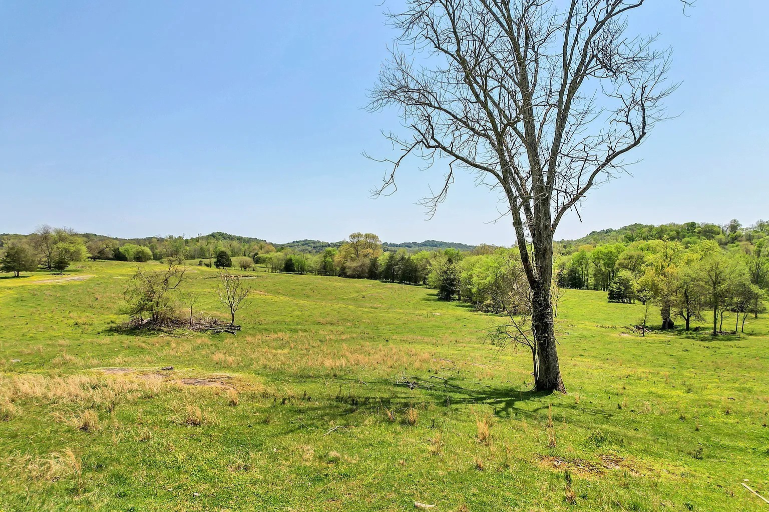 290 Gladdice Road Pleasant Shade, TN 37145 - Photo 6 of 41