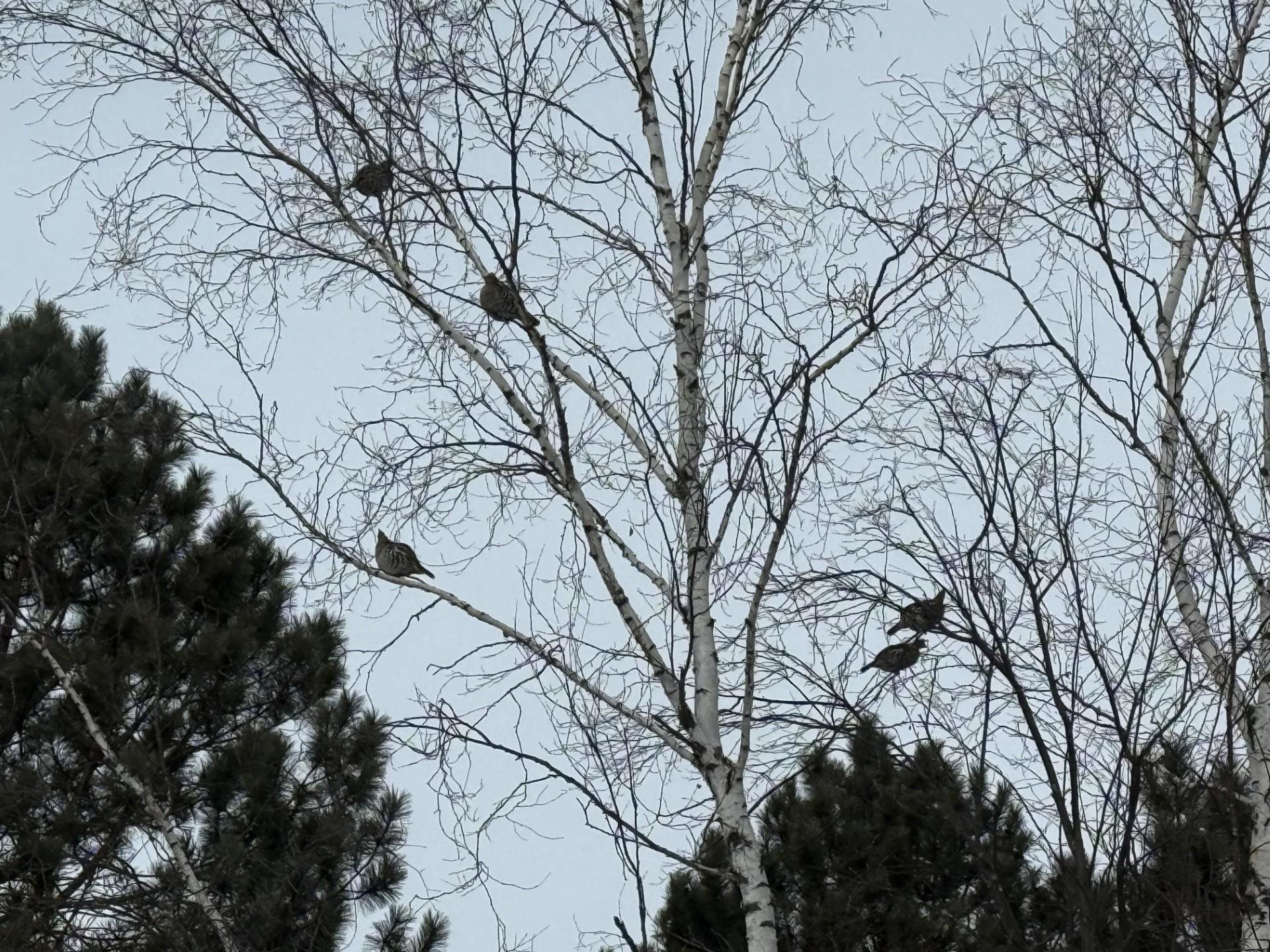 1820 Mary Street Silver Bay, MN 55614 - Photo 51 of 53