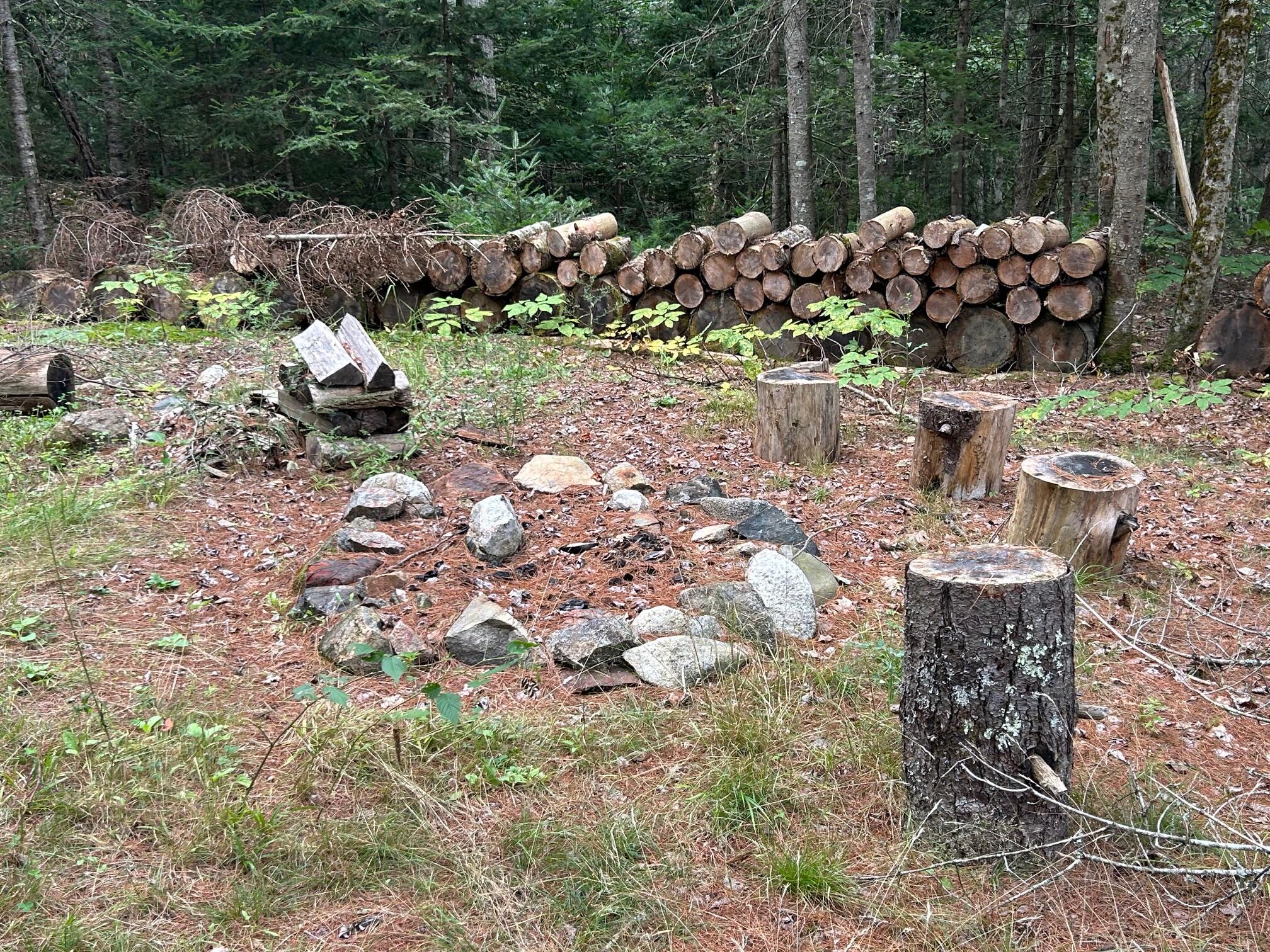 477 North Penobscot Road Penobscot, ME 04476 - Photo 8 of 101 IMG_8072