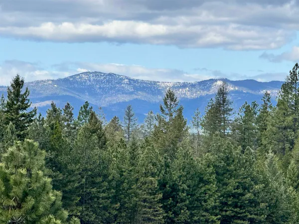 $165,000 | Xx West Webb Avenue, Springdale, WA 99173