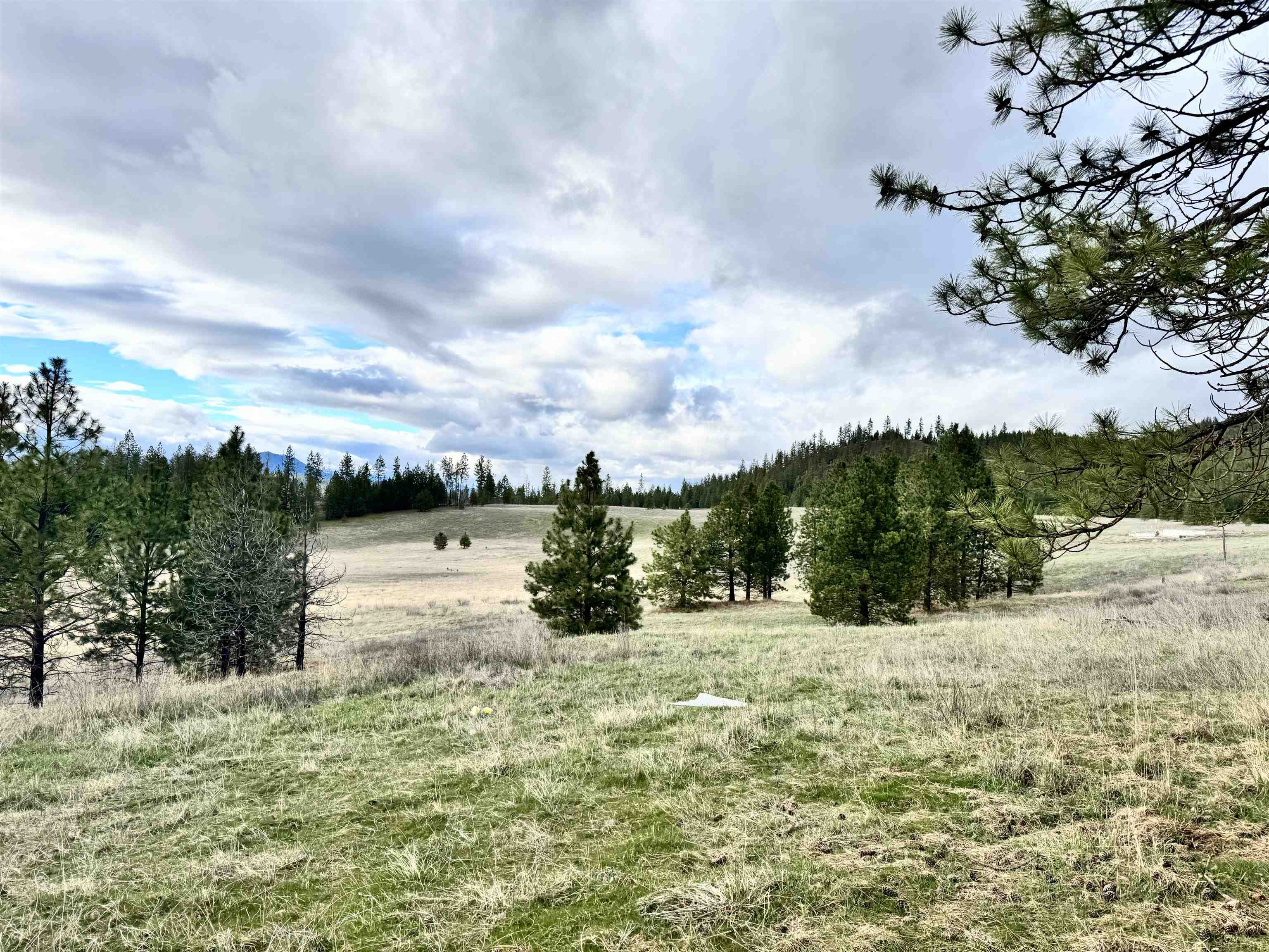 Xx West Webb Avenue Springdale, WA 99173 - Photo 1 of 5