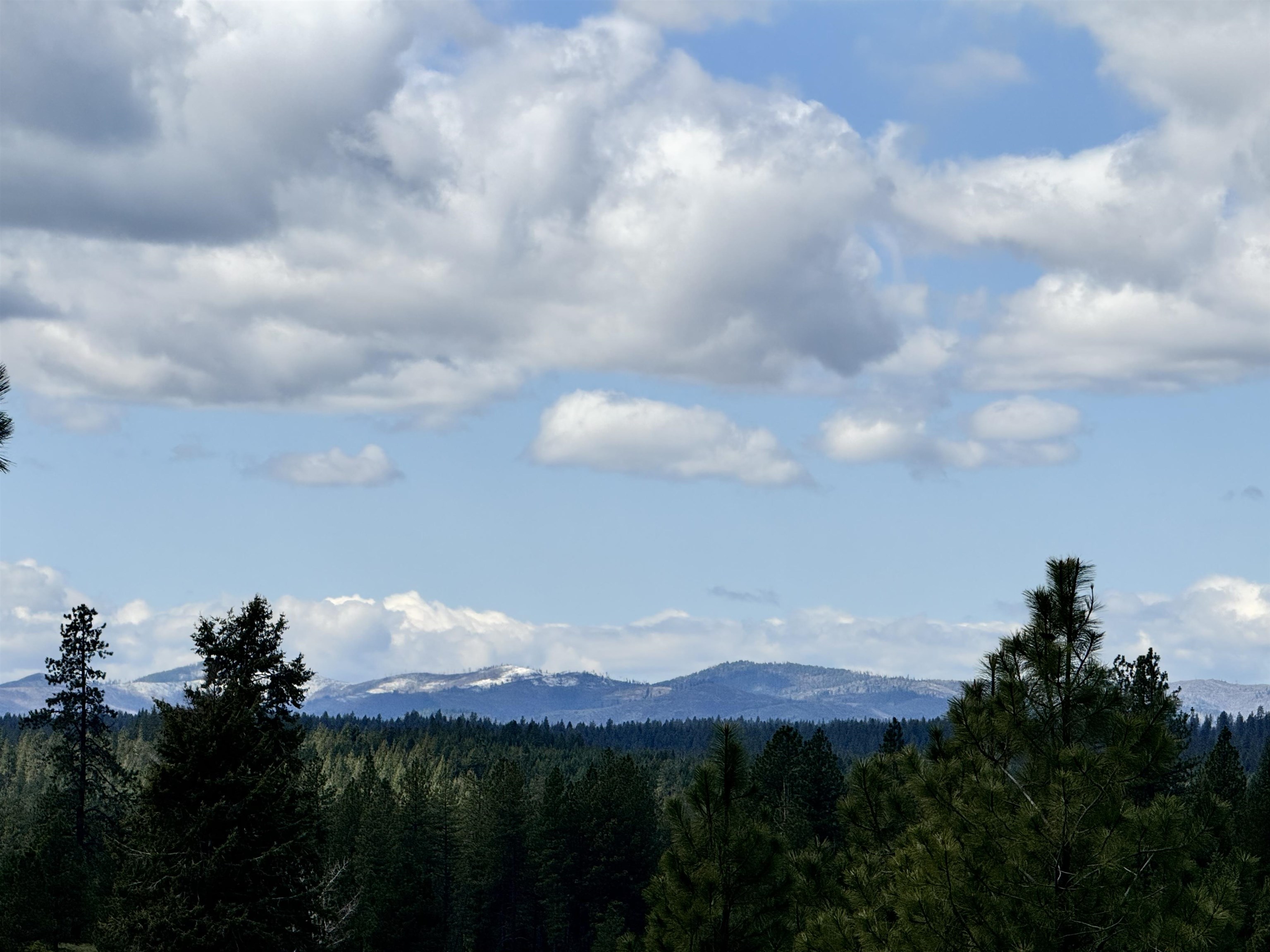 Xx West Webb Avenue Springdale, WA 99173 - Photo 2 of 11